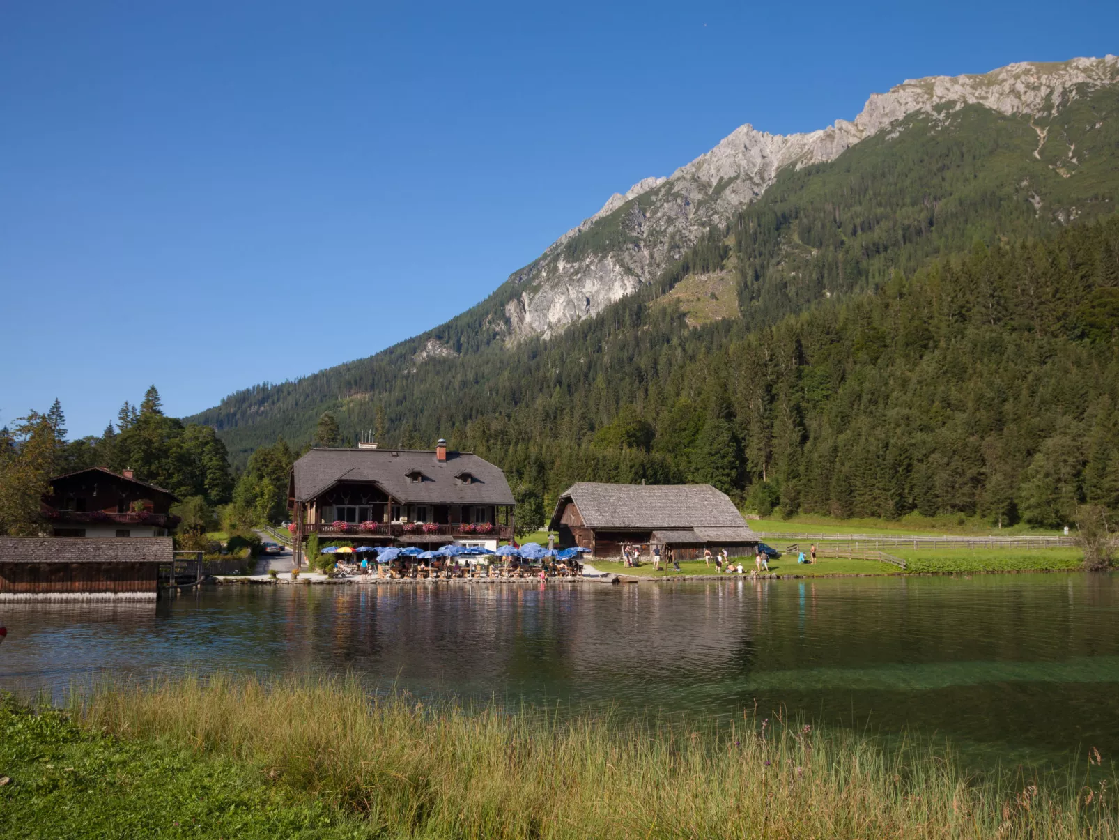 Schwarzenegg-Omgeving