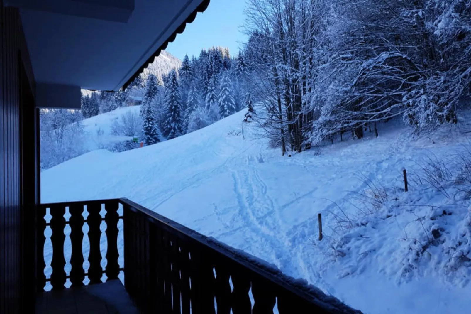Appartements à Saint Jean d'Aulps-Uitzicht winter