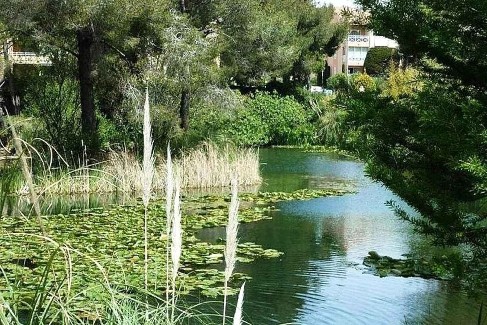 Résidence Verdon-Uitzicht zomer