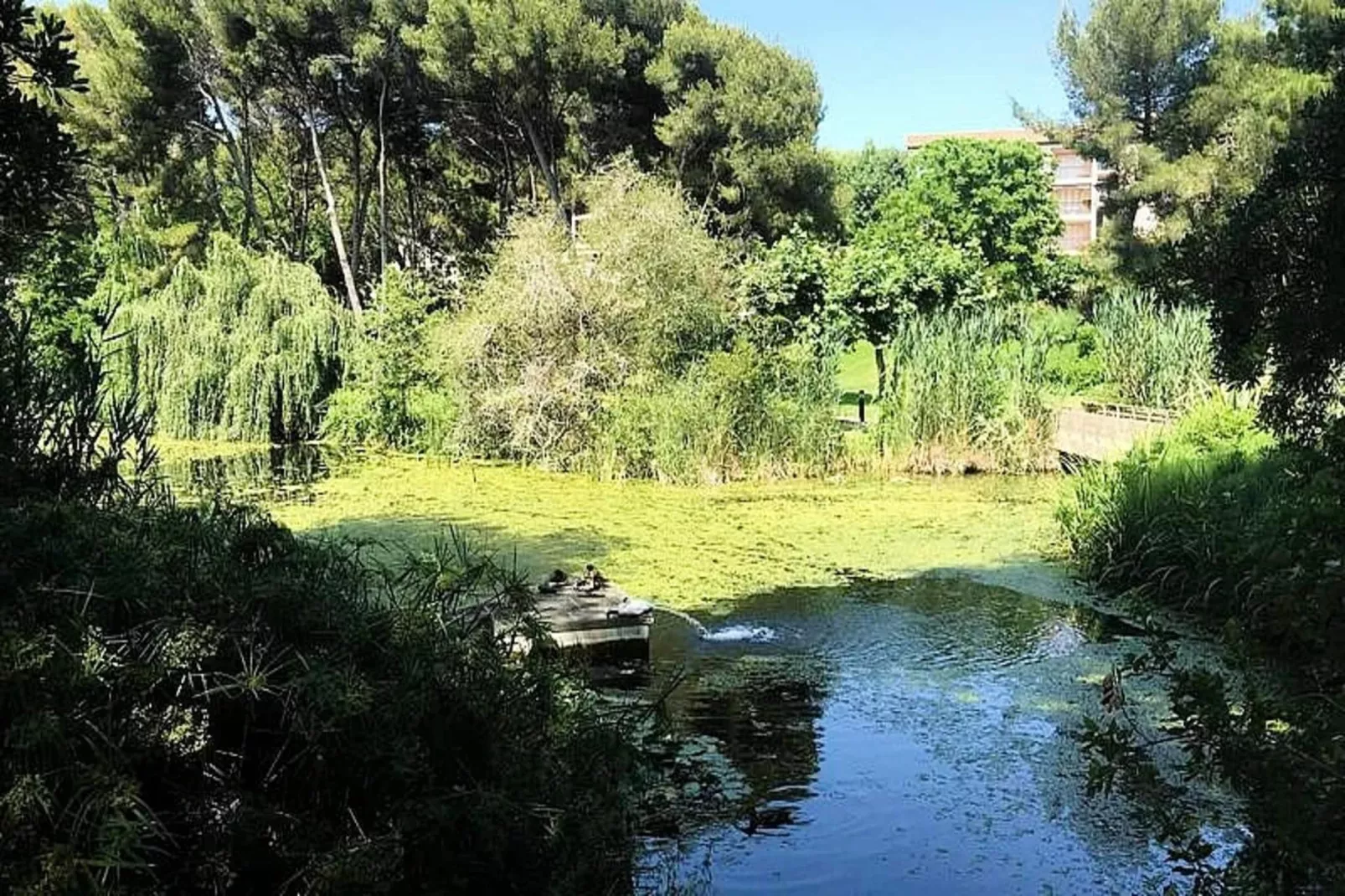 Résidence Marines D'aryana-Gebieden zomer 5km
