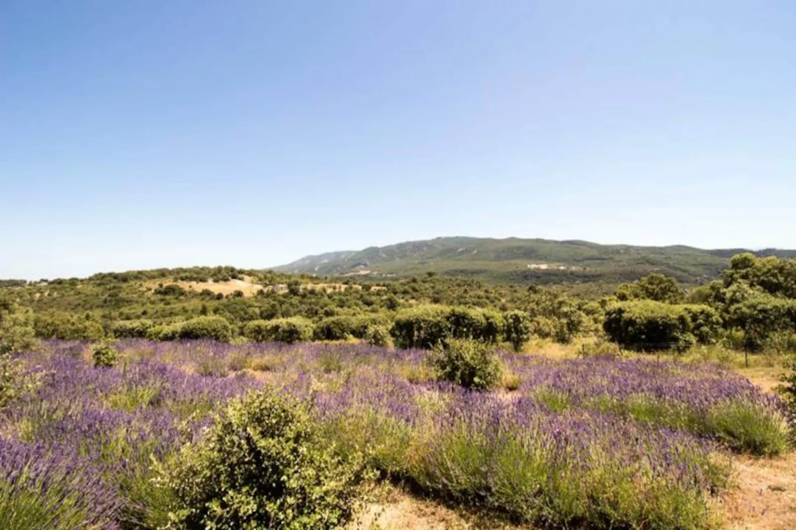 Villa Mirage Luxe Et S&eacute;r&eacute;nit&eacute;-Image-tags.