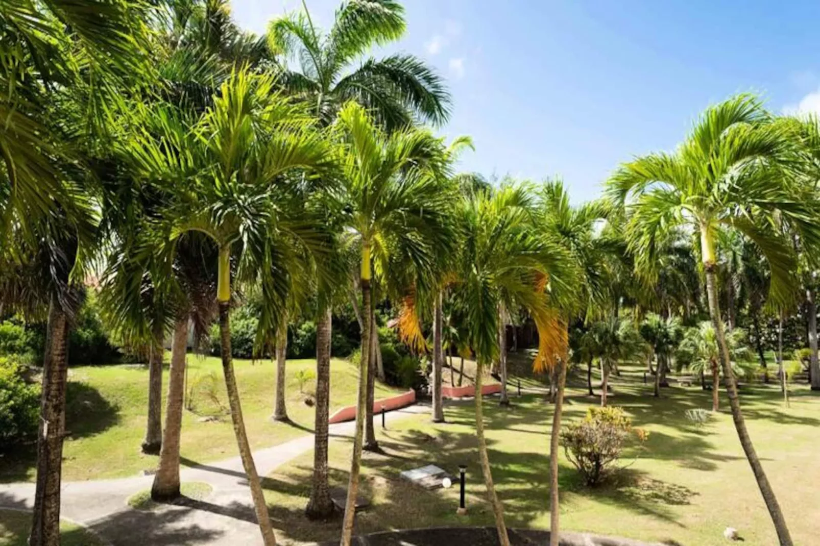 Appartement R&ecirc;ve D'outre Mer-Image-tags.