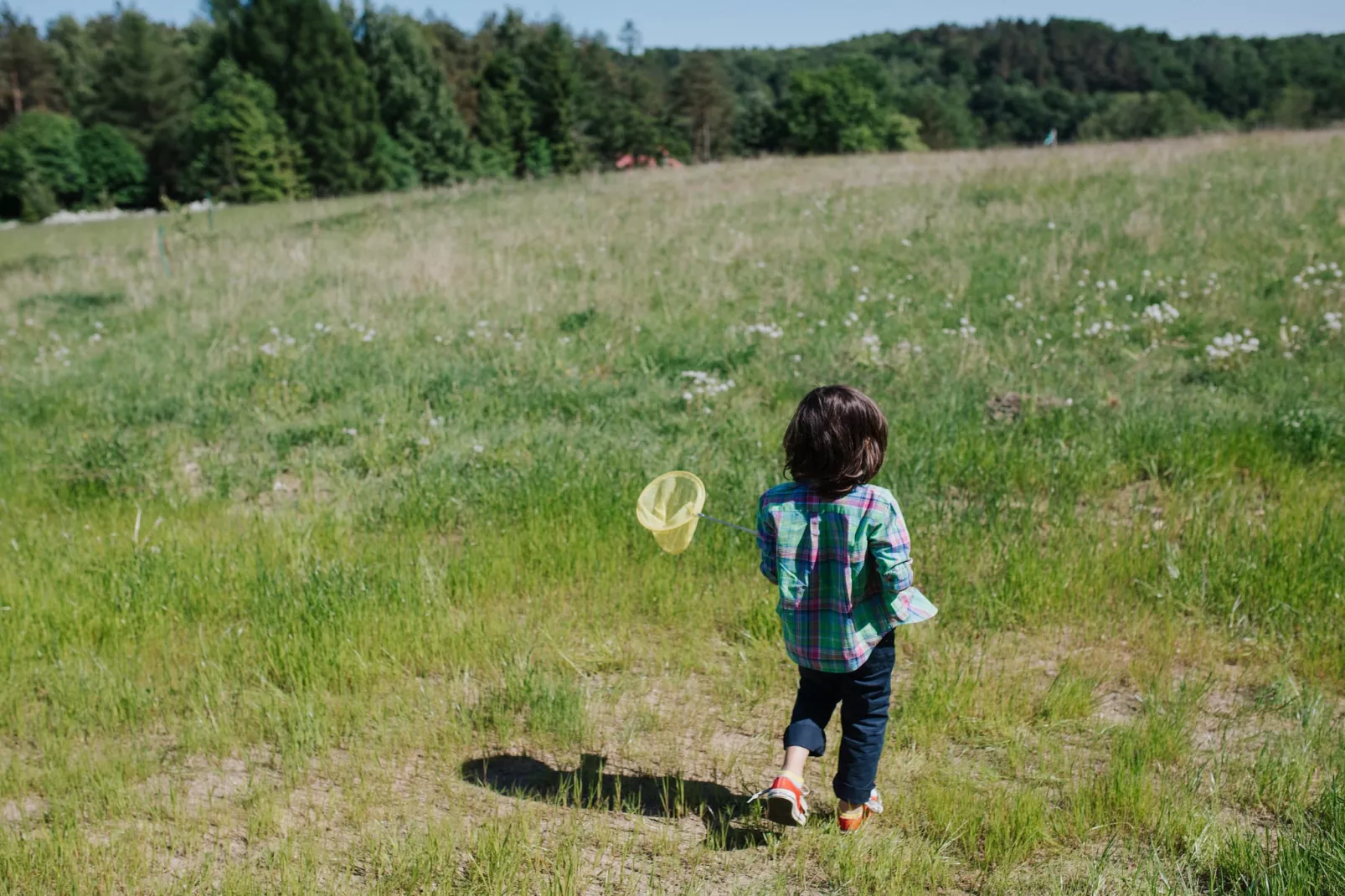 White Heron-Tuinen zomer