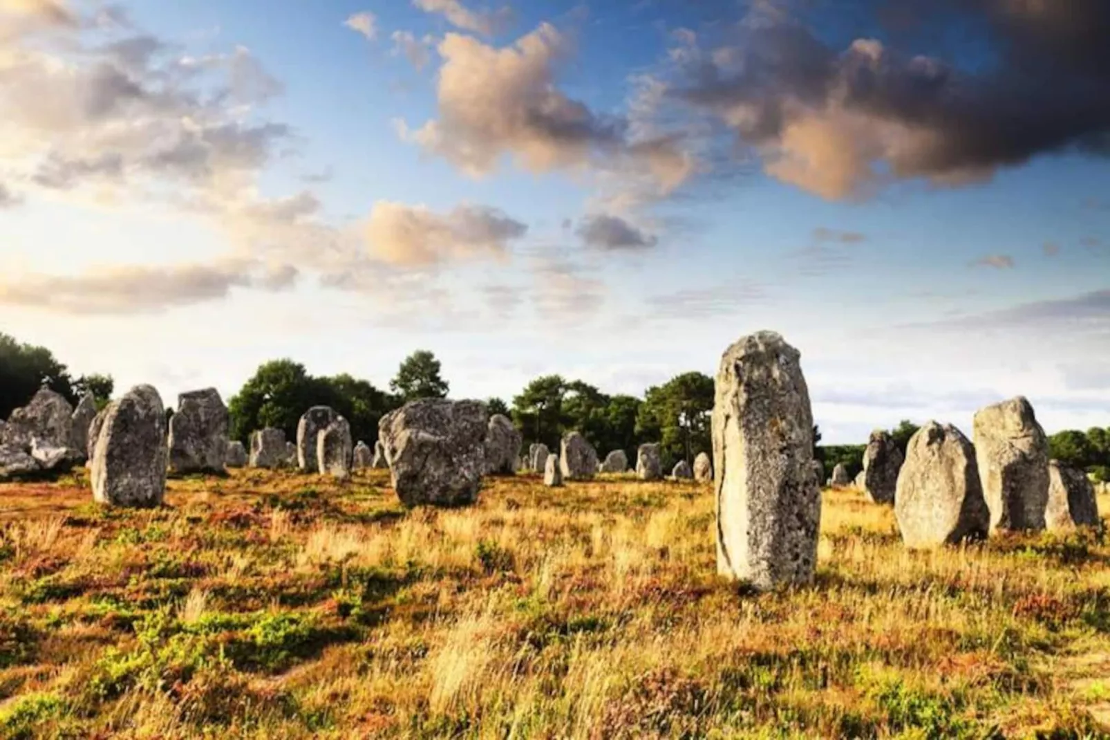 Résidence Maison Rue Du Phare  Centre Ville Chez Christine-Image-tags.