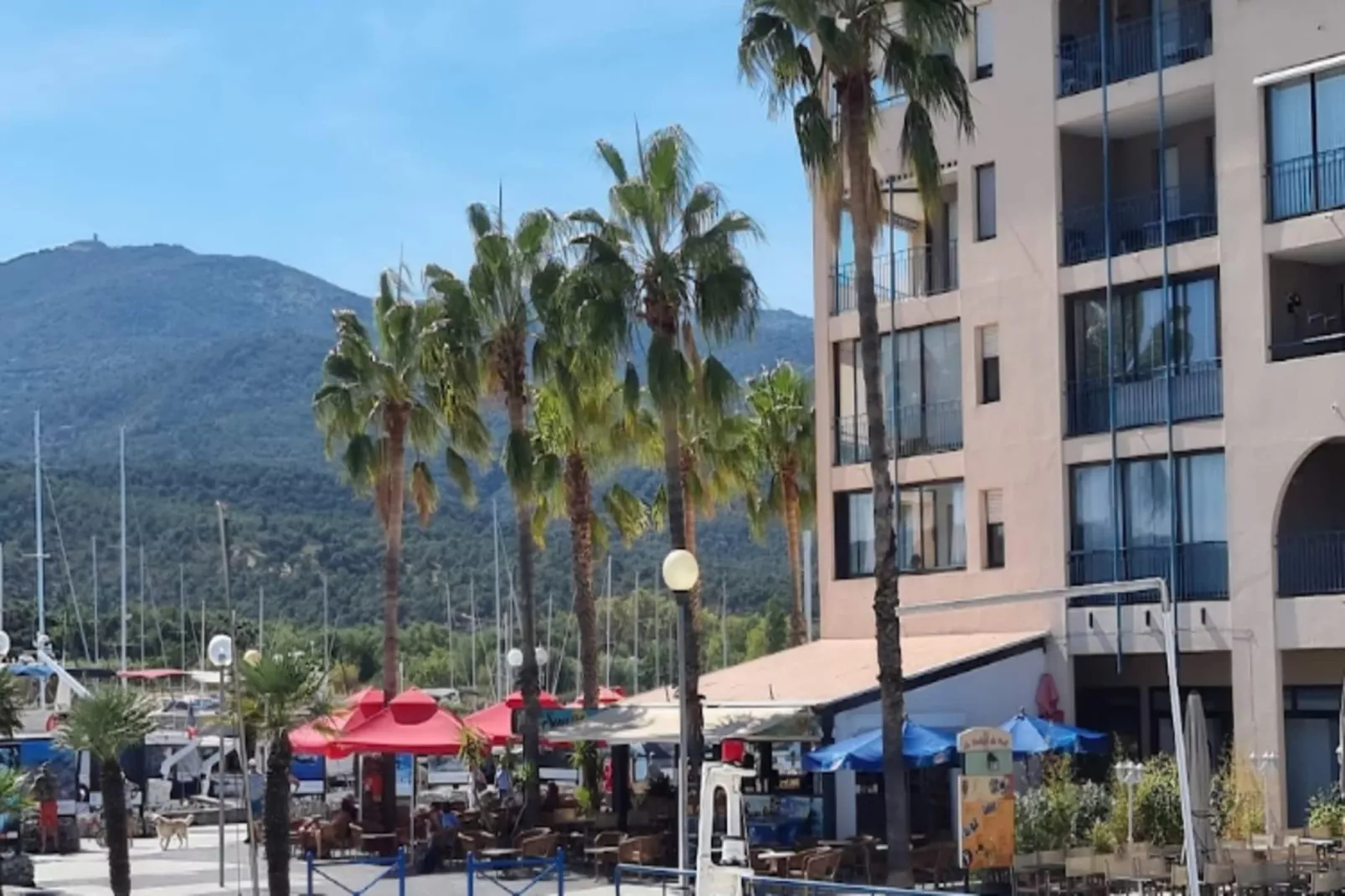 Résidence Mer & Golf Port Argelès***-Gebieden zomer 5km