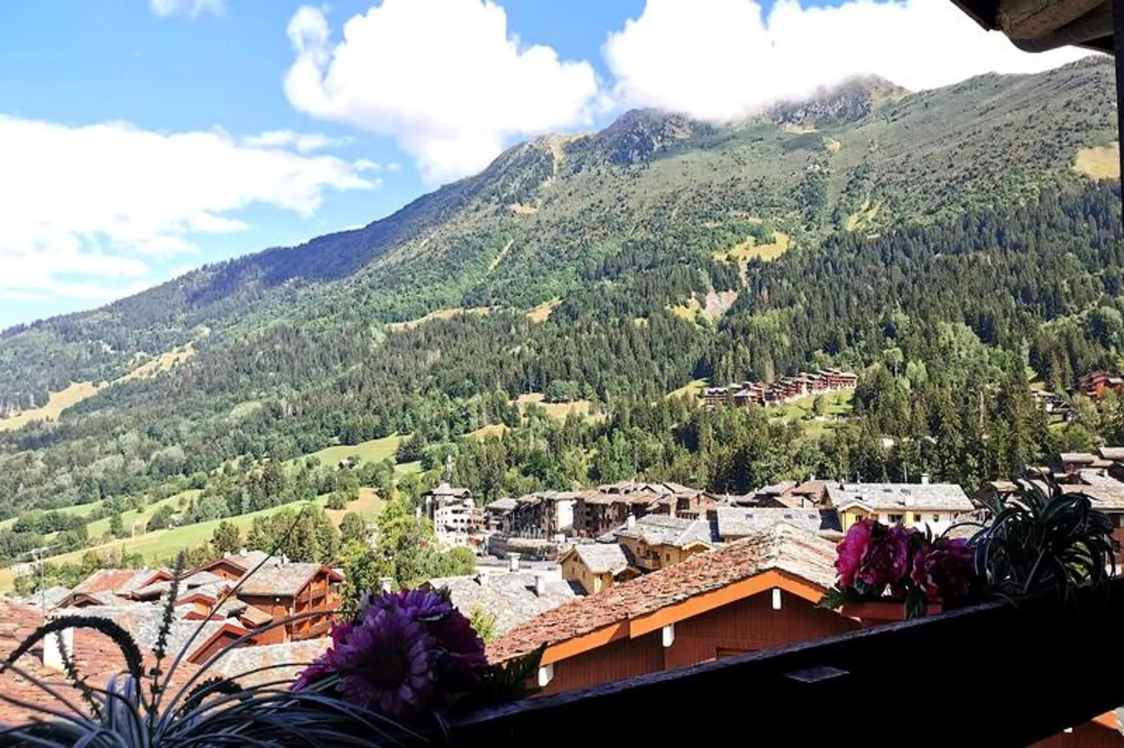 Résidence Clairiere-Uitzicht zomer