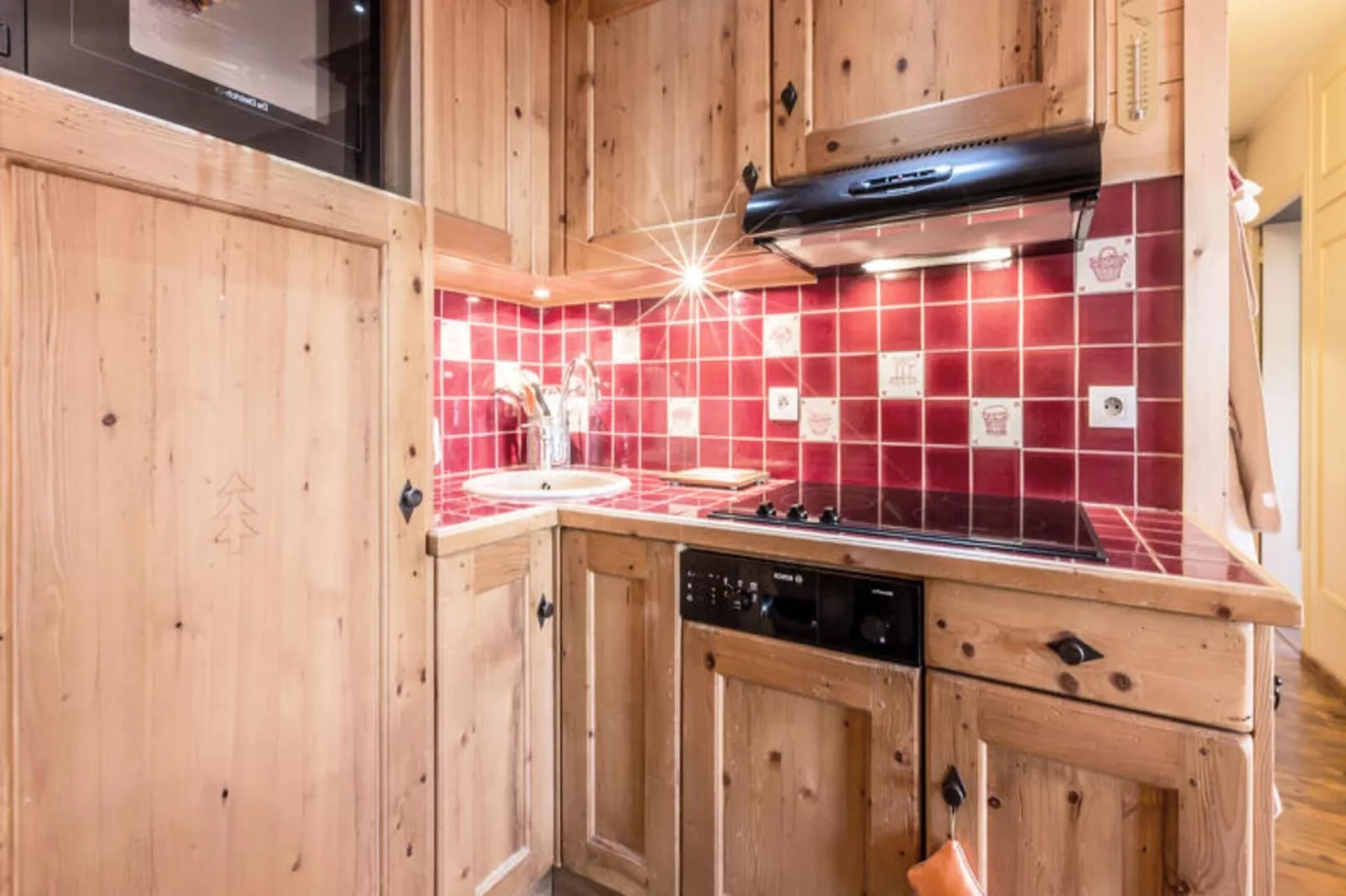 Résidence Viking-Buitenkant zomer