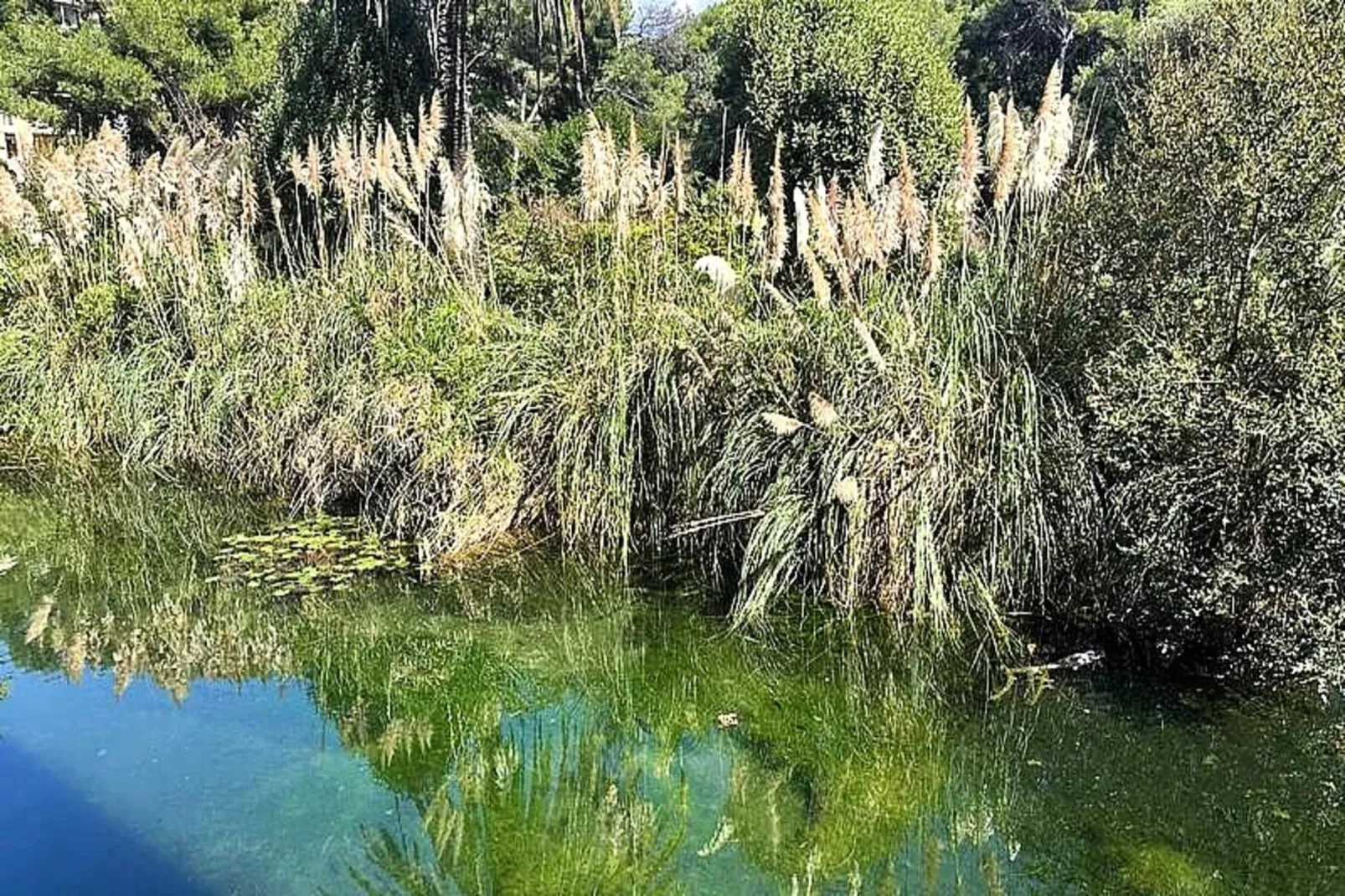 Résidence Rivages-Wellness