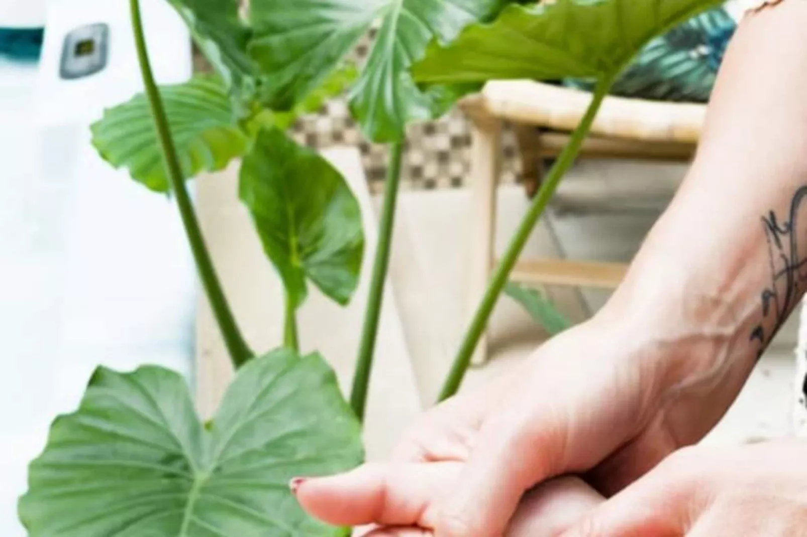 Maison R&eacute;gent & Spa - Un Si Bel Horizon-Image-tags.