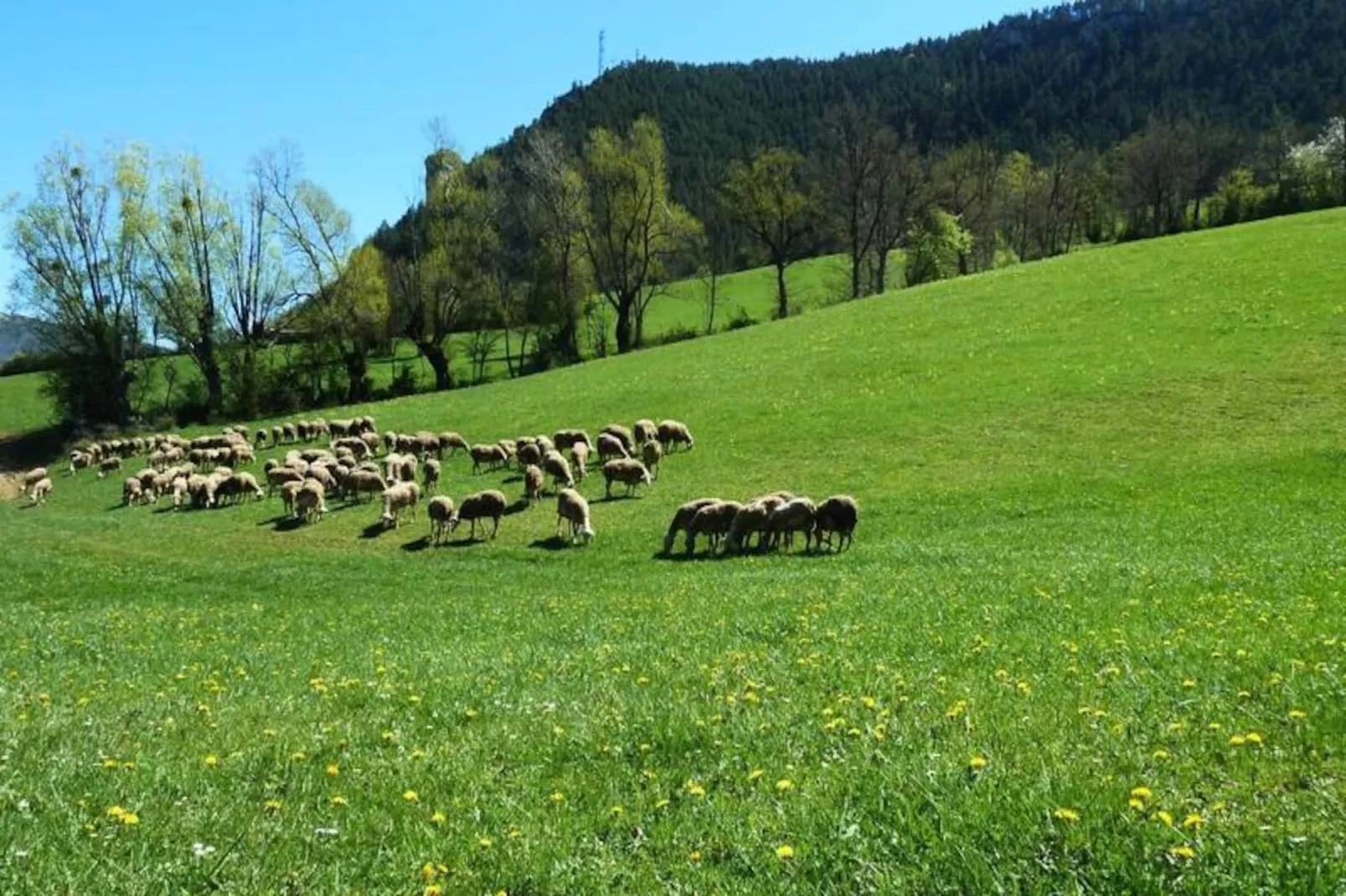 Gîte de France Gîte " la prairie" 4 épis-Image-tags.