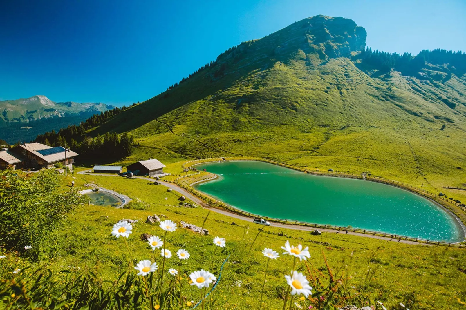 Résidence Morzine 1000-Gebieden zomer 5km