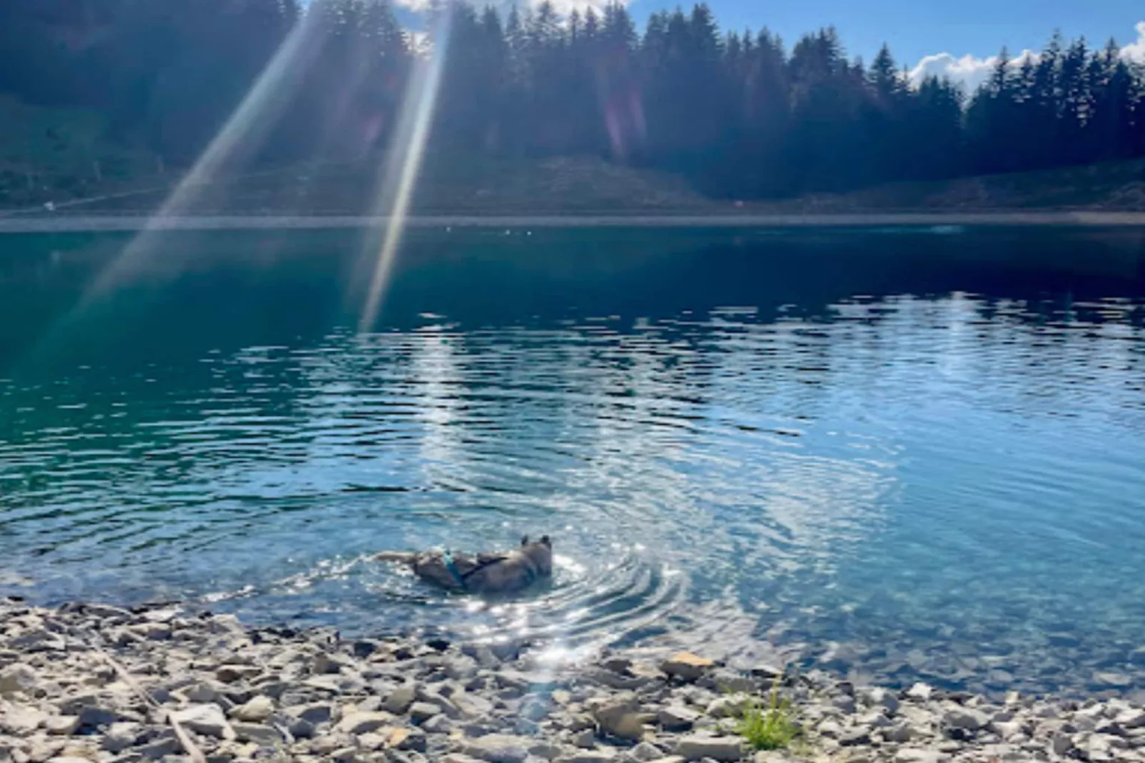 Résidence Mont-fernuy-Gebieden zomer 5km