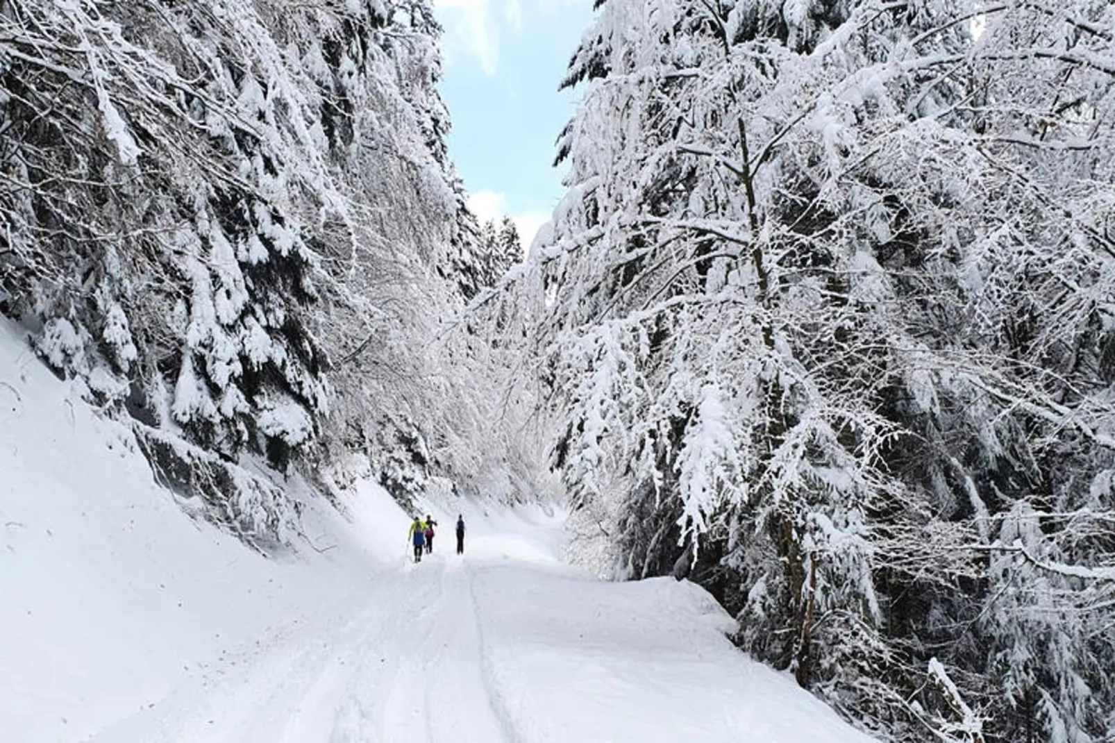 Appartements à Saint Jean d'Aulps-Gebied winter 5km