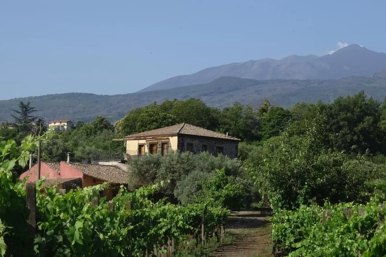 Ferienanlage Tenuta Madonnina-Buitenkant zomer