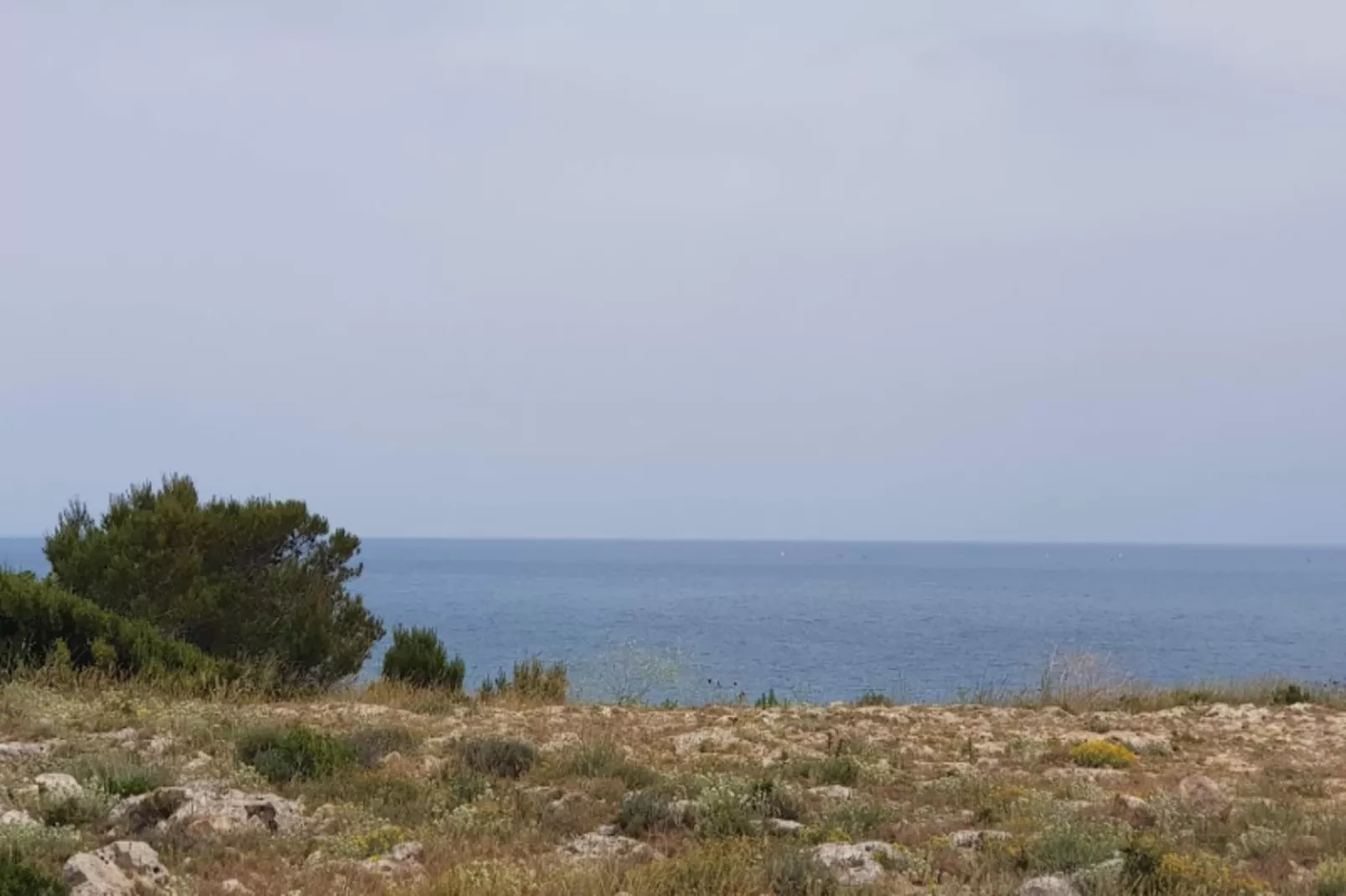 Résidence Le Constellation-Gebieden zomer 5km