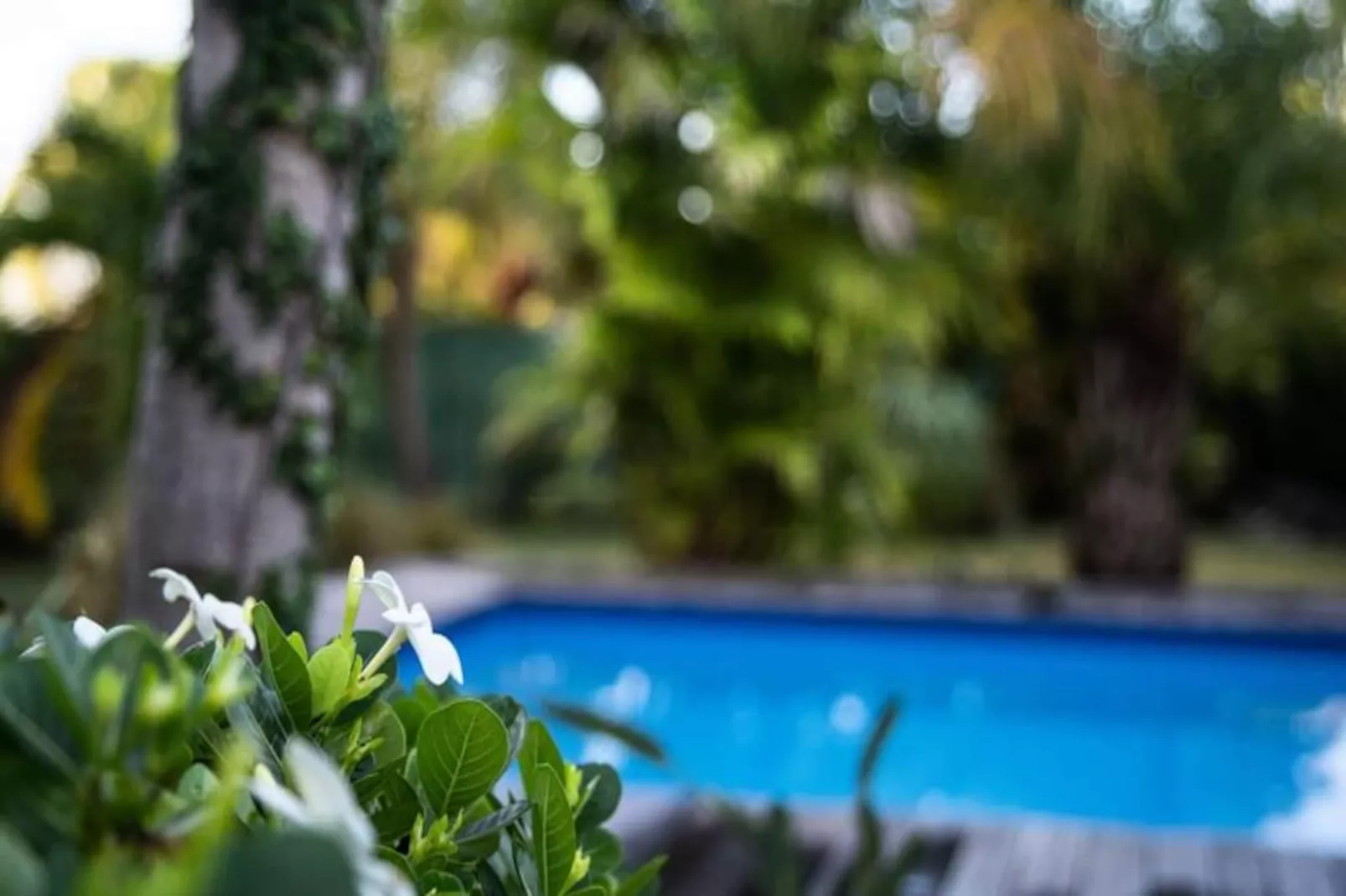 Villa Sereine-Image-tags.