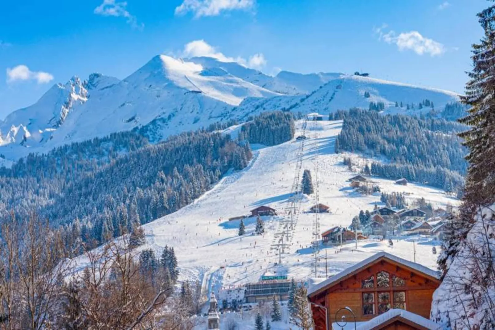 Résidence Bossonnet-Gebied winter 5km