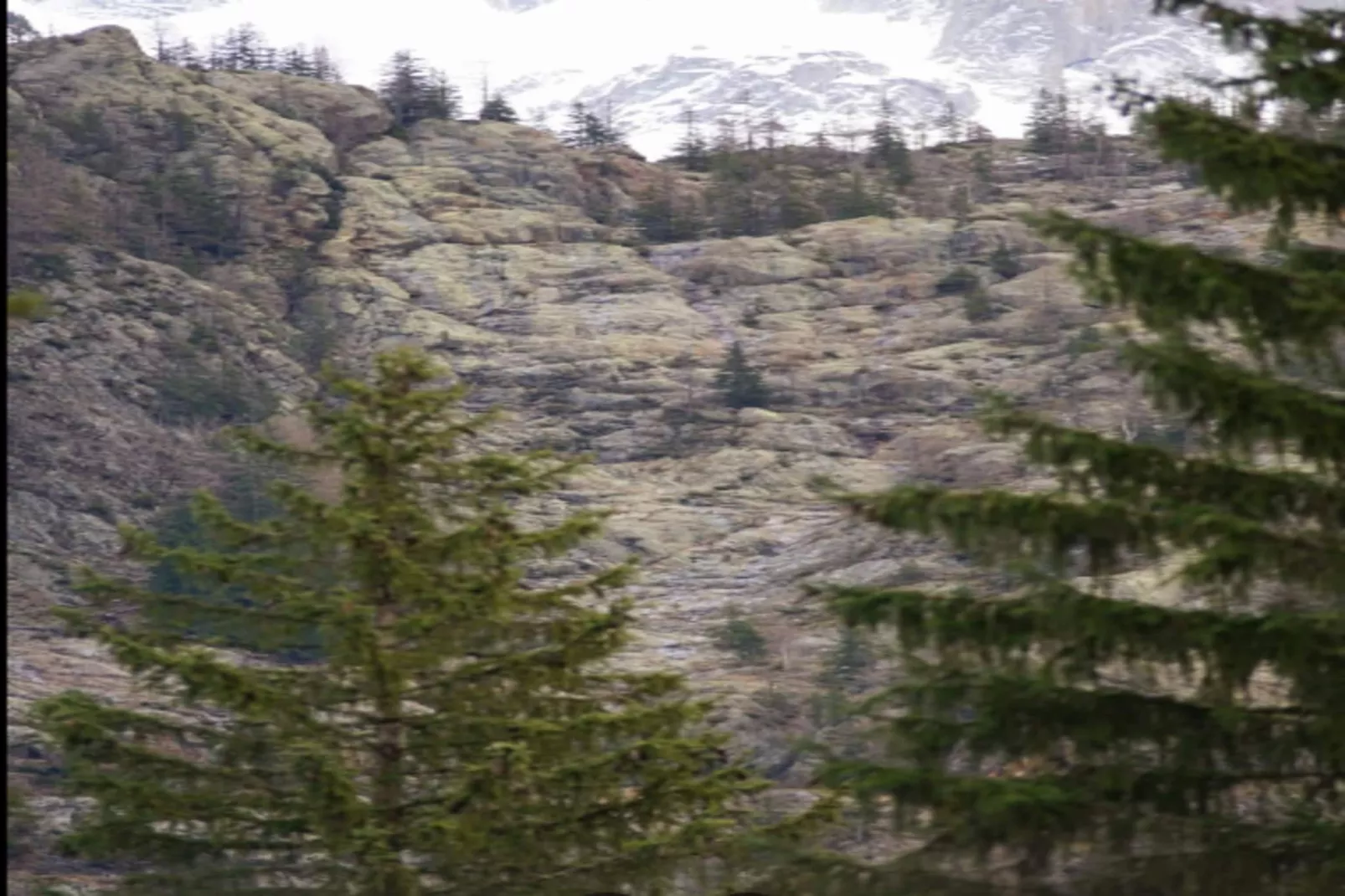 Résidence Prestige Odalys Isatis****-Gebieden zomer 5km