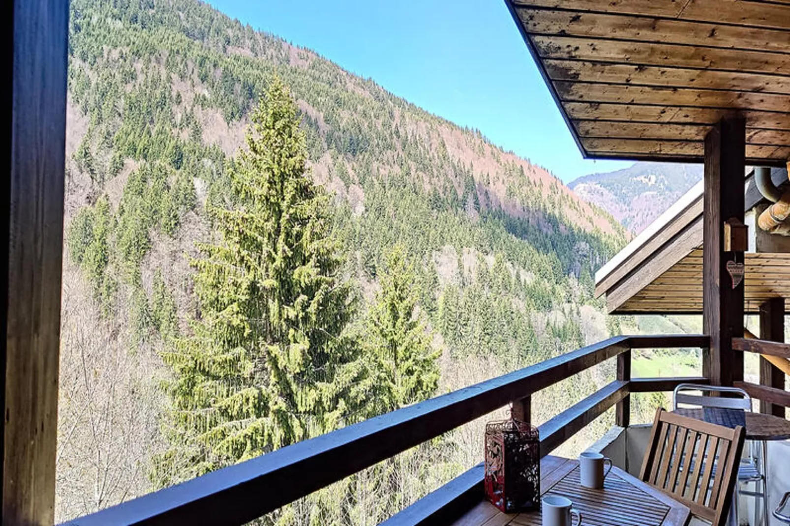 Appartements à Saint Jean d'Aulps-Terrasbalkon