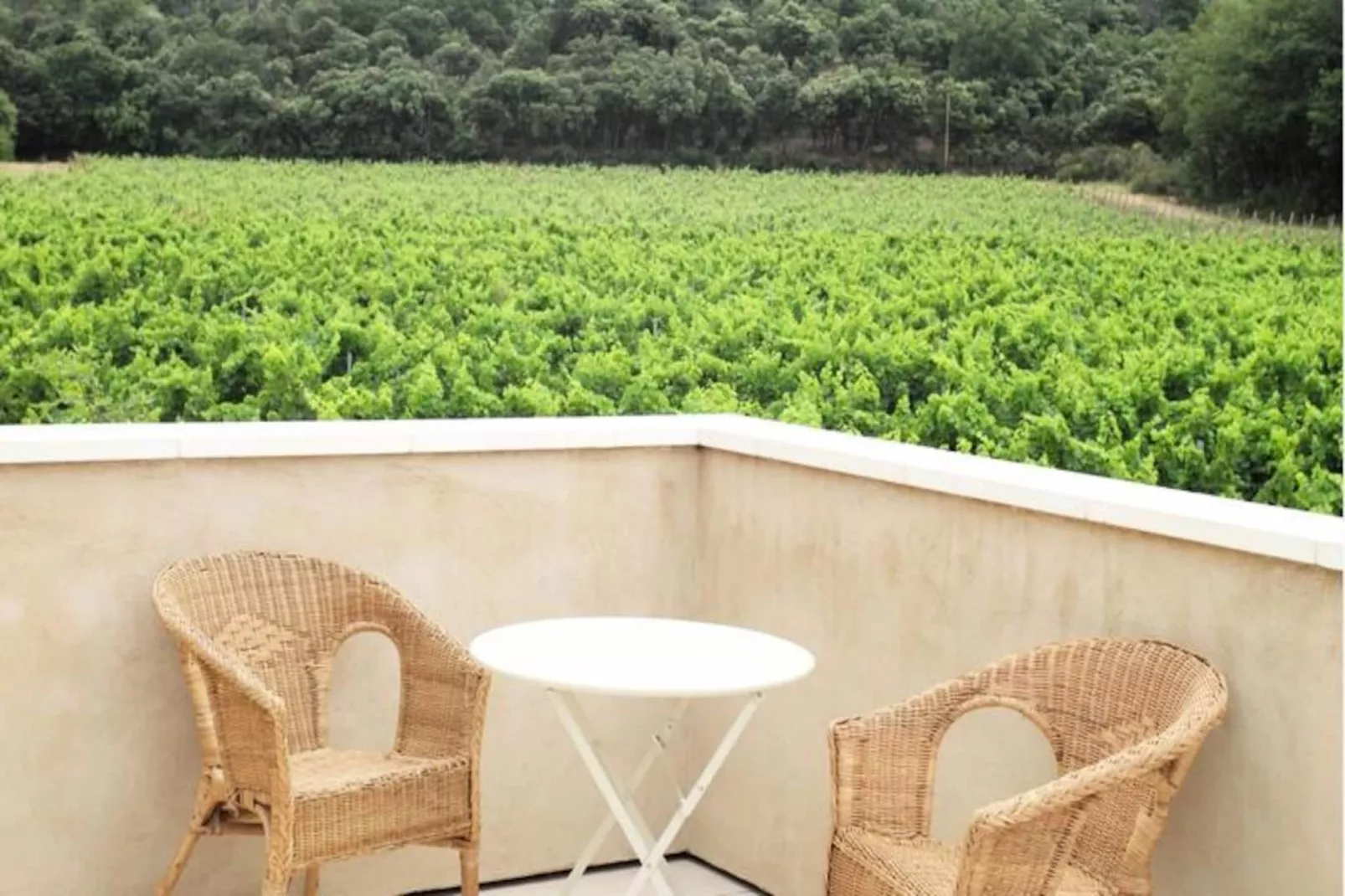 Vivez L'authenticit&eacute; &agrave; La Maison "au Pied Des Vignes"-Image-tags.