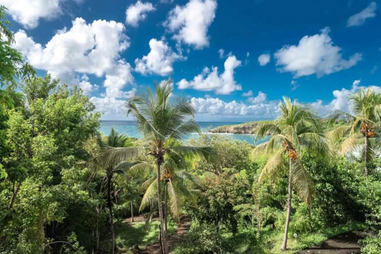 Villa Nora-Image-tags.