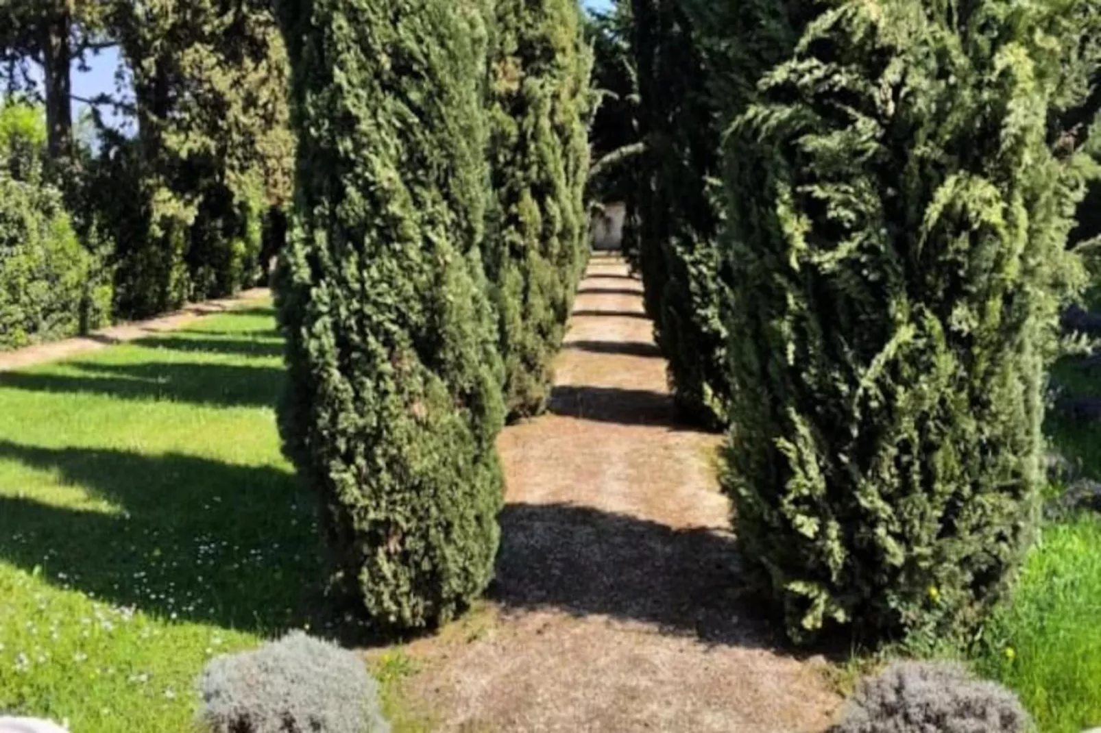 Le Mas De Jalique - Isle-sur-la-sorgue-Image-tags.