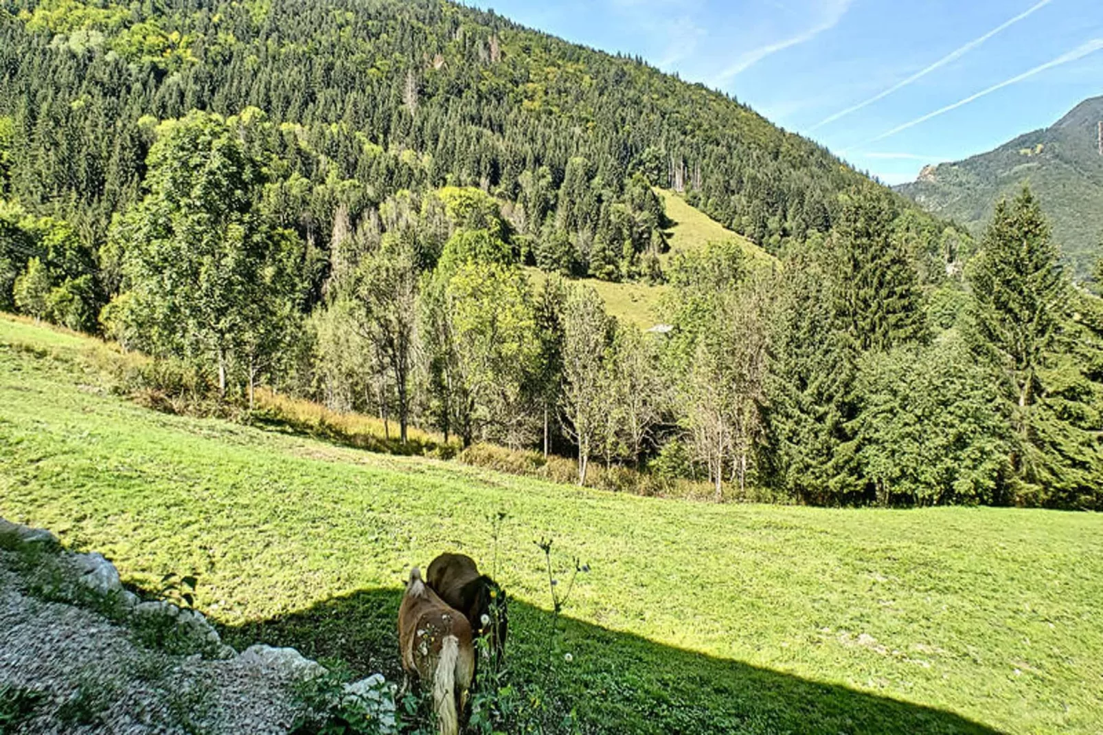Appartements à Saint Jean d'Aulps-Gebieden zomer 1km