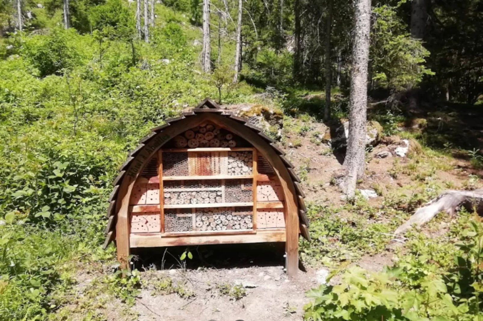 Résidence Prestige Odalys Isatis****-Gebieden zomer 5km