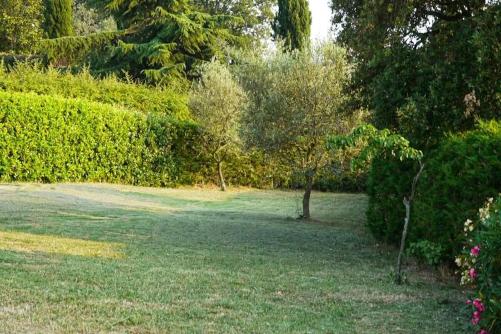 Villa De Campagne - 8 Pers - Vue Sur Les Mimosas-Image-tags.