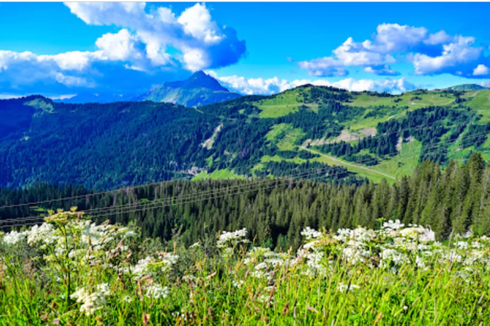 Résidence Quartier Falaise - maeva Home