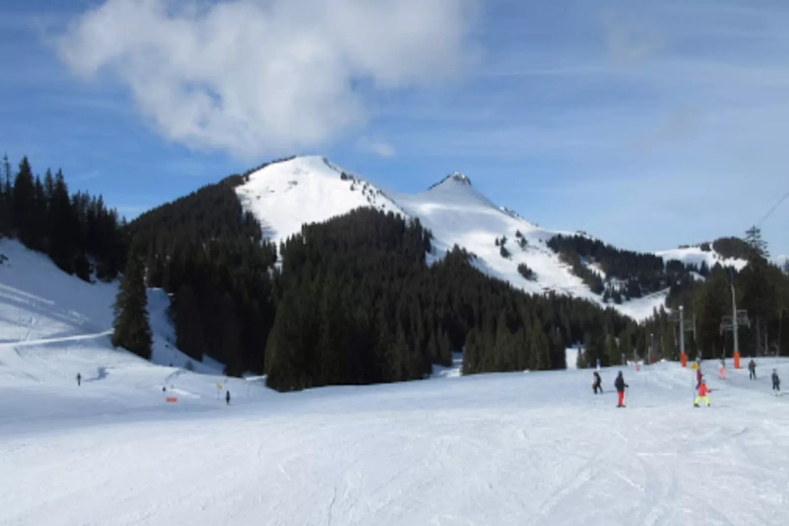 Chalet Des Freinets-Buitenkant zomer