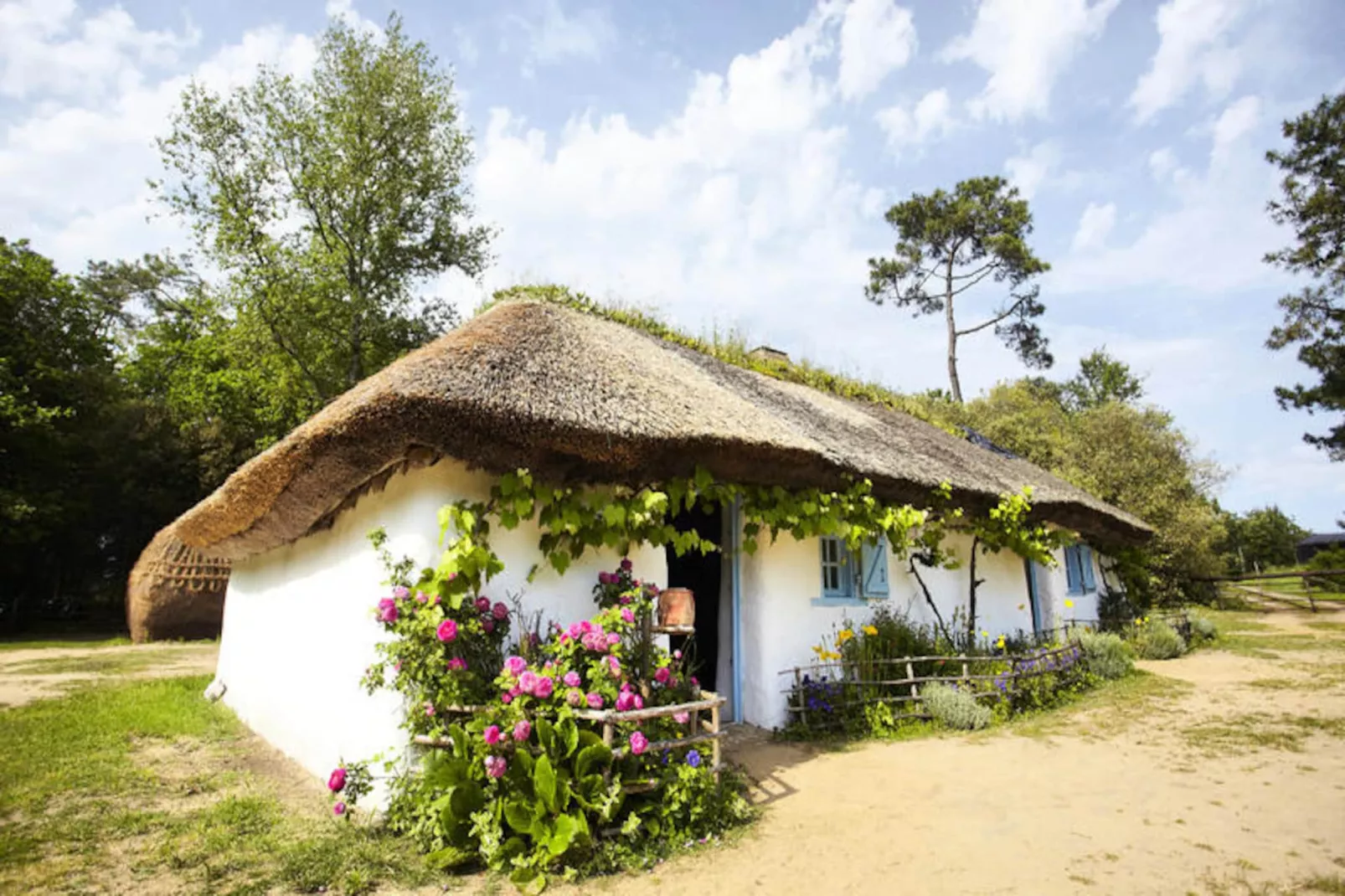 Appartements à Saint-Hilaire-de-Riez-Image-tags.