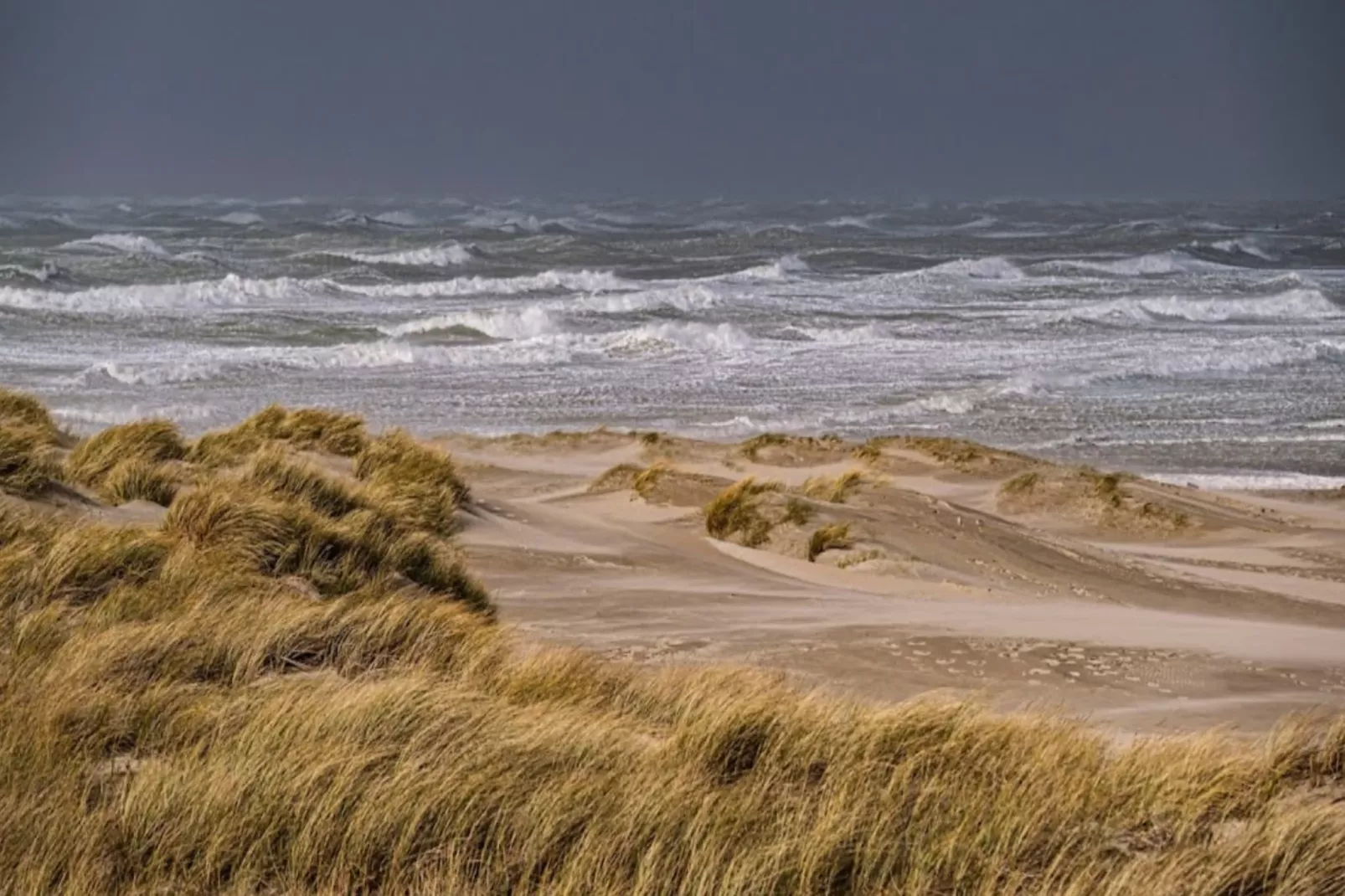 Résidence Appartement Pour 4 Pers Avec Piscine, Tennis Et  Parking 56-Gebieden zomer 5km