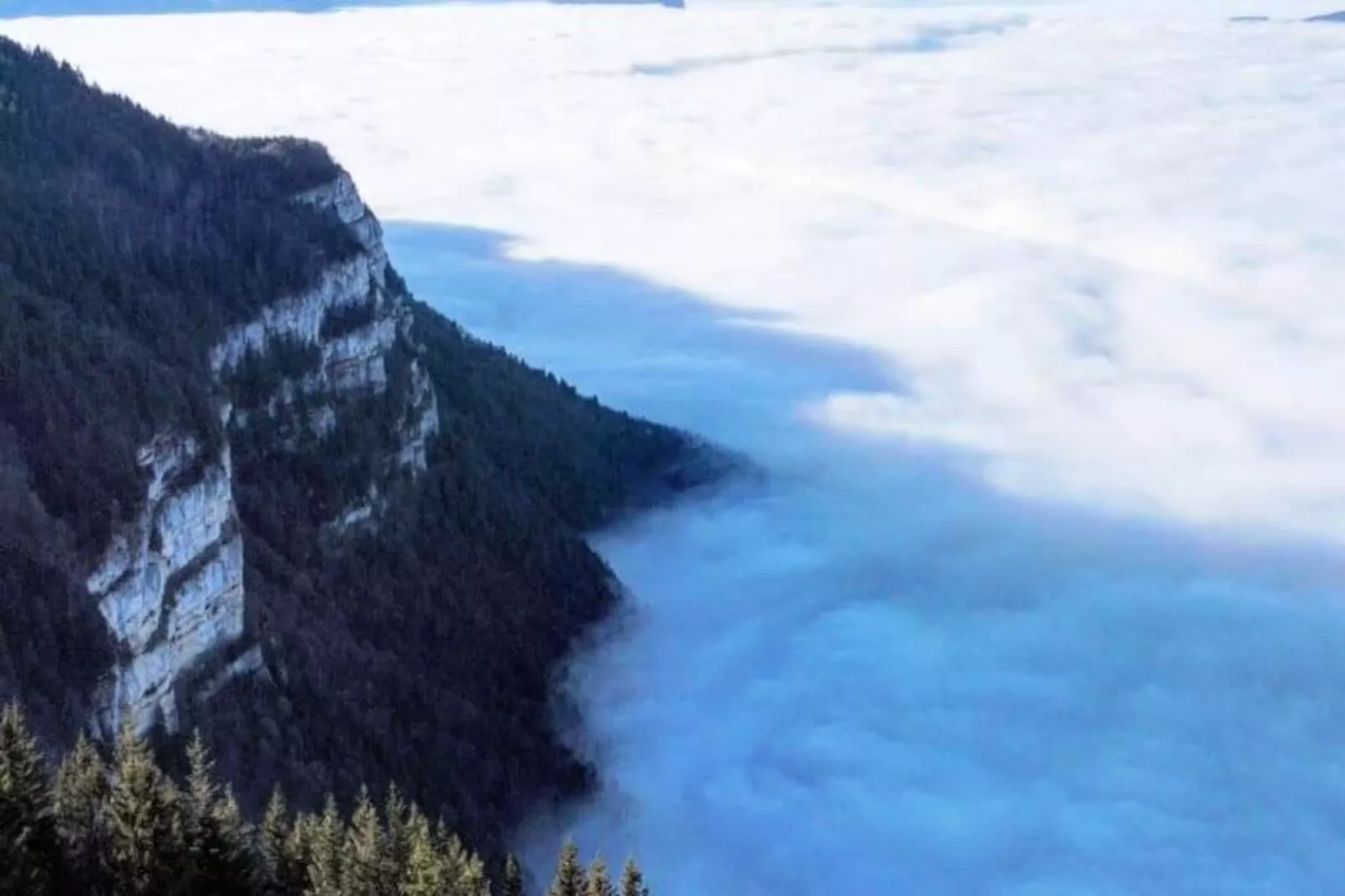 Magnifique Chalet , Vue Sur Le Mont Blanc ***-Image-tags.