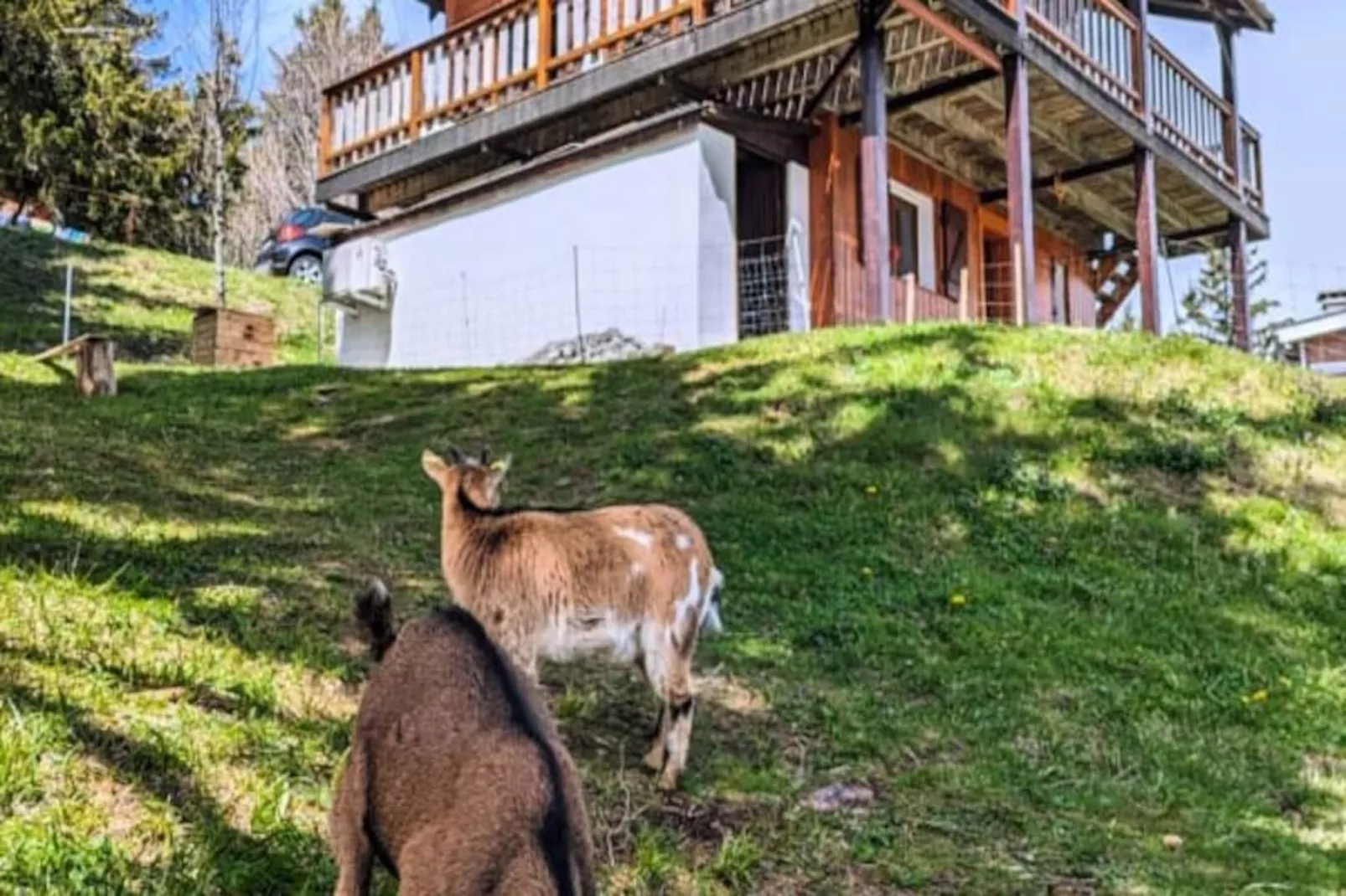 Magnifique Chalet , Vue Sur Le Mont Blanc ***-Image-tags.