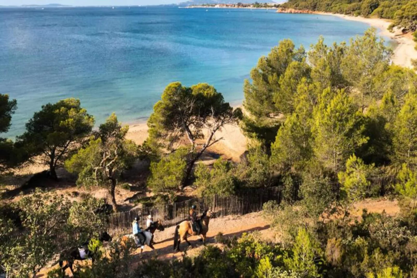 Résidence Balcons Alycastre-Image-tags.