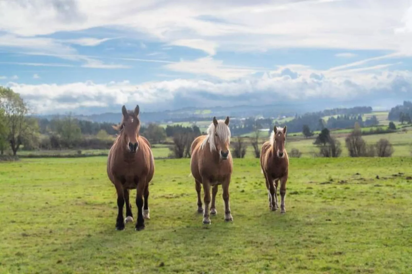 Gîte de France Gîte de la grangette 5/6 personnes 3 épis-Image-tags.