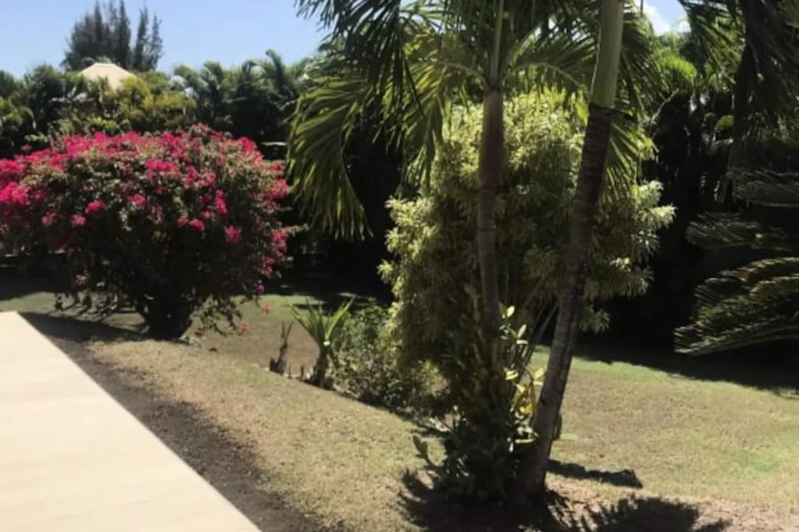 Villa Arbre Du Voyageur-Image-tags.