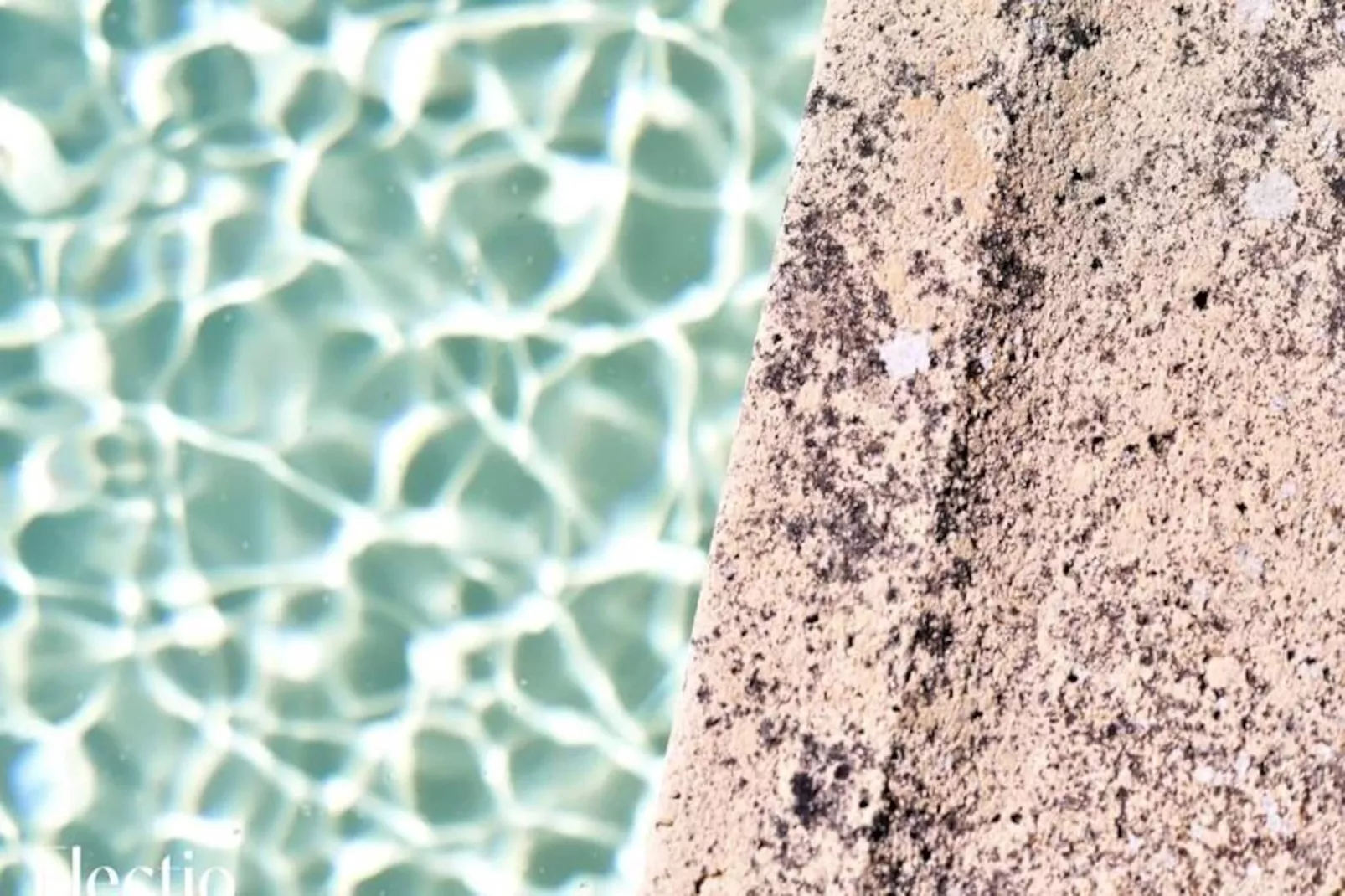 Grande Bastide | Domaine Tour Campanets-Image-tags.