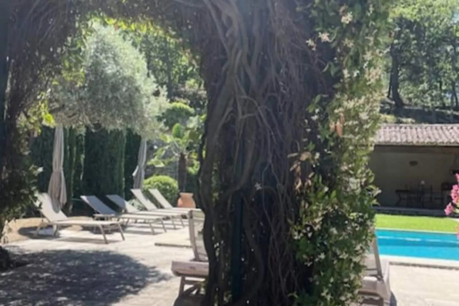 Propri&eacute;t&eacute; D'exception Au Coeur Du Luberon-Image-tags.