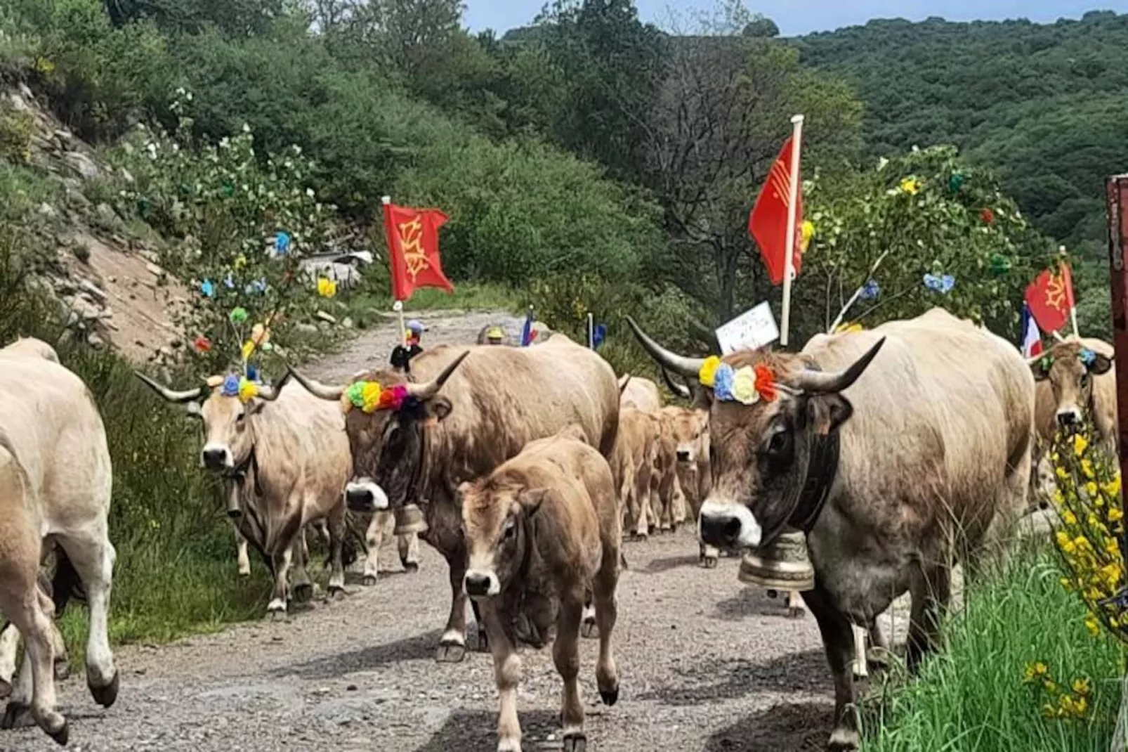 Gîte de France Bon aubrac pour 12 personnes 2 épis-Image-tags.