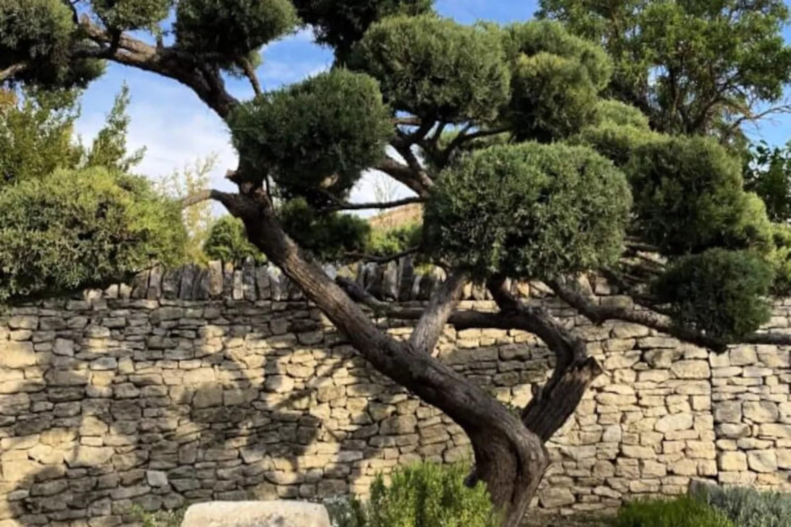 Mas Sylvie - Isle-sur-la-sorgue-Image-tags.