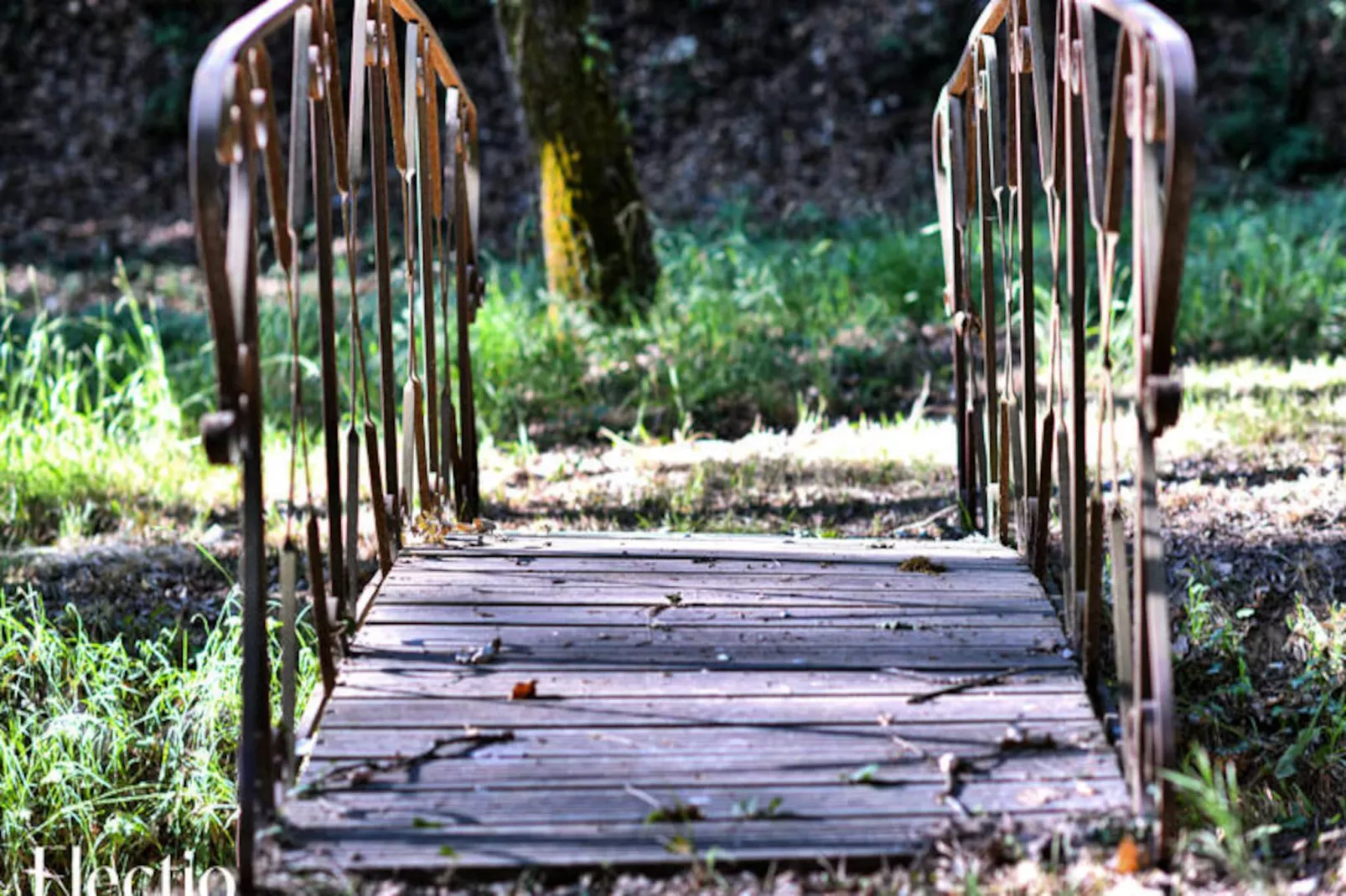 Grande Bastide | Domaine Tour Campanets-Image-tags.