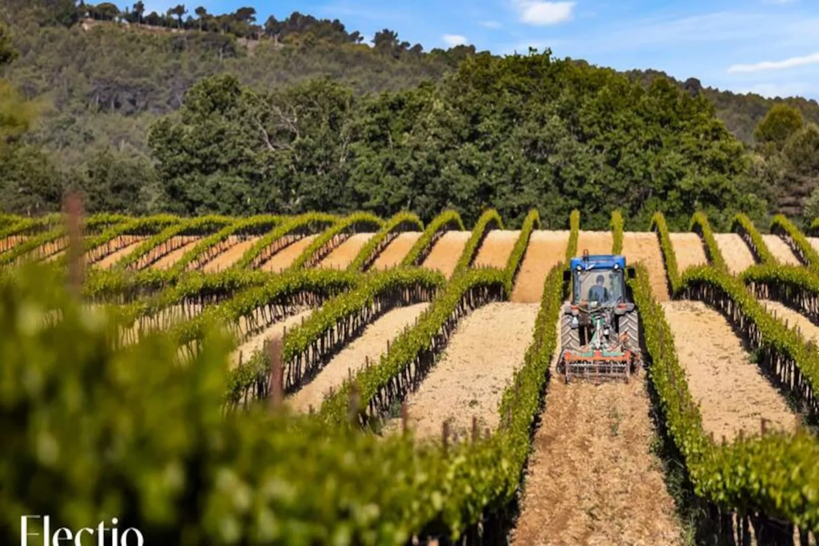 Grande Bastide | Domaine Tour Campanets-Image-tags.