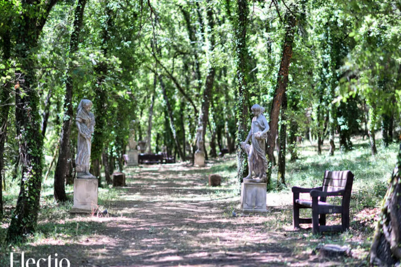 Grande Bastide | Domaine Tour Campanets-Image-tags.