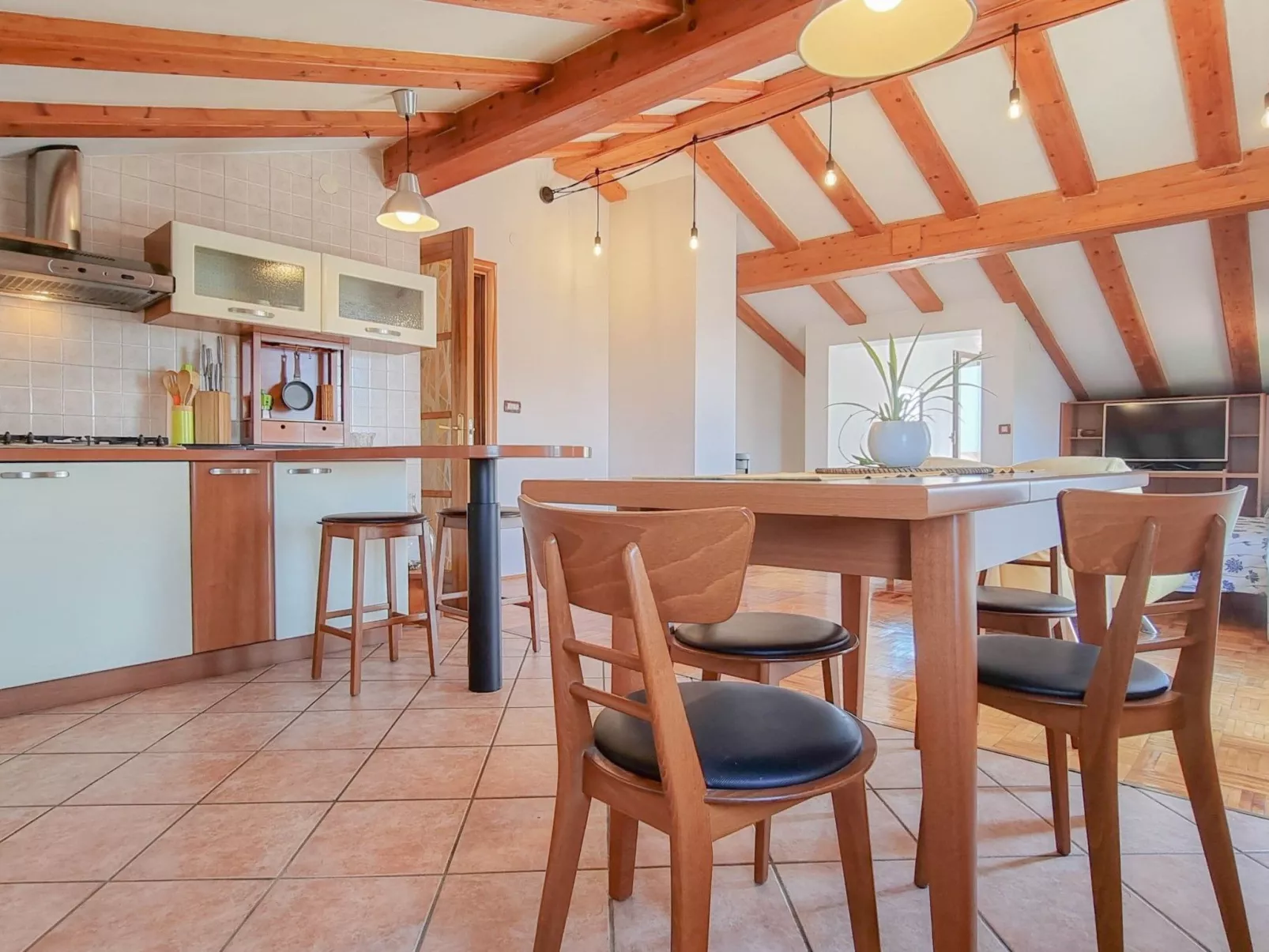 "Nina" mit Blick auf das Wasser