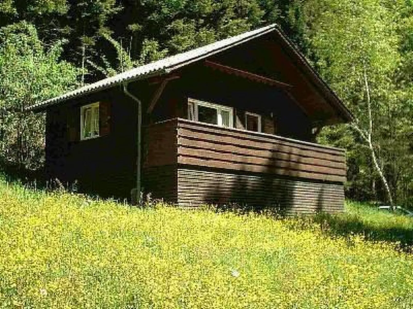 Arthurhütte in Hohenweiler