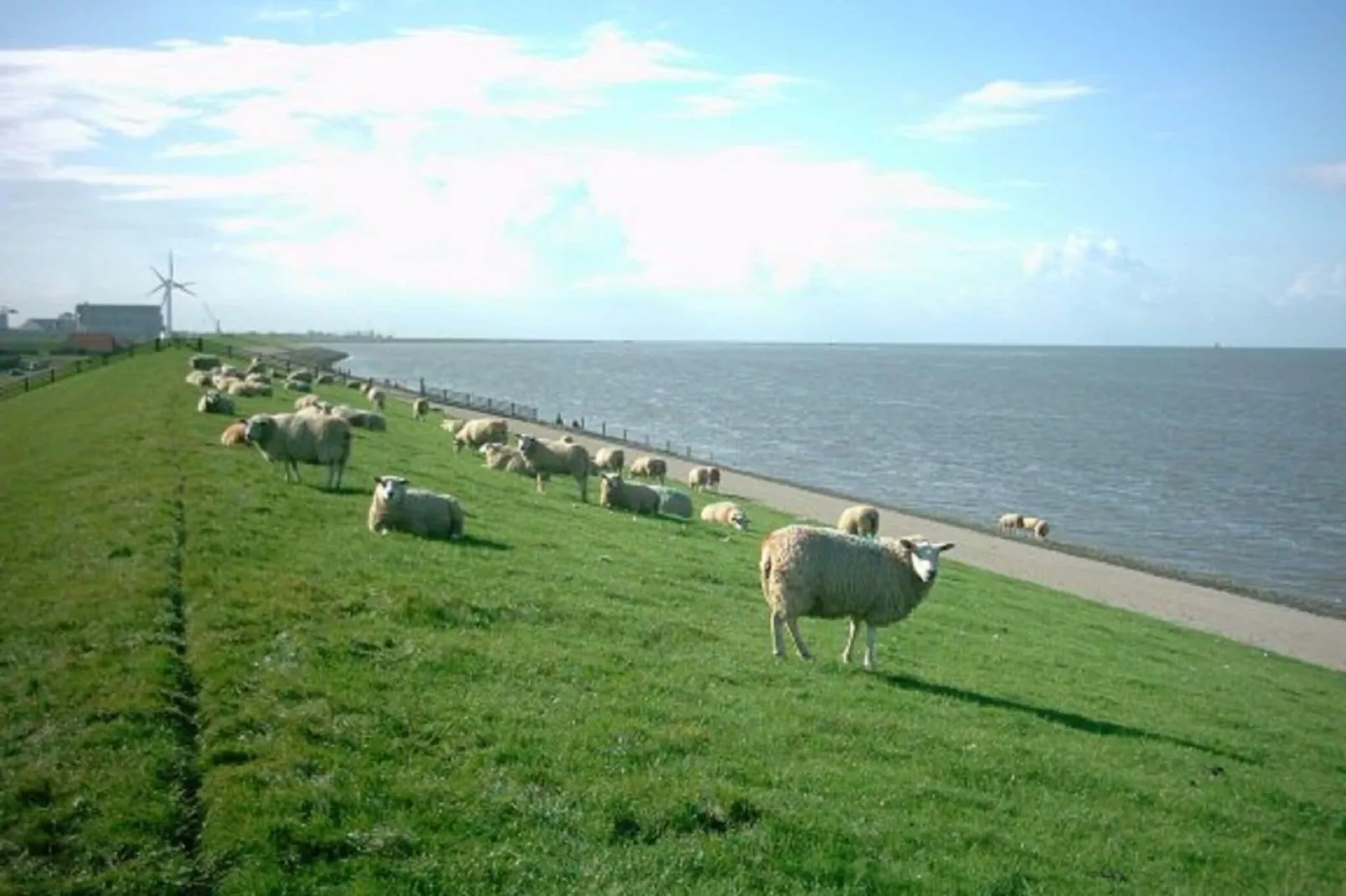 Recreatiepark de Friese Wadden 27-Gebieden zomer 5km