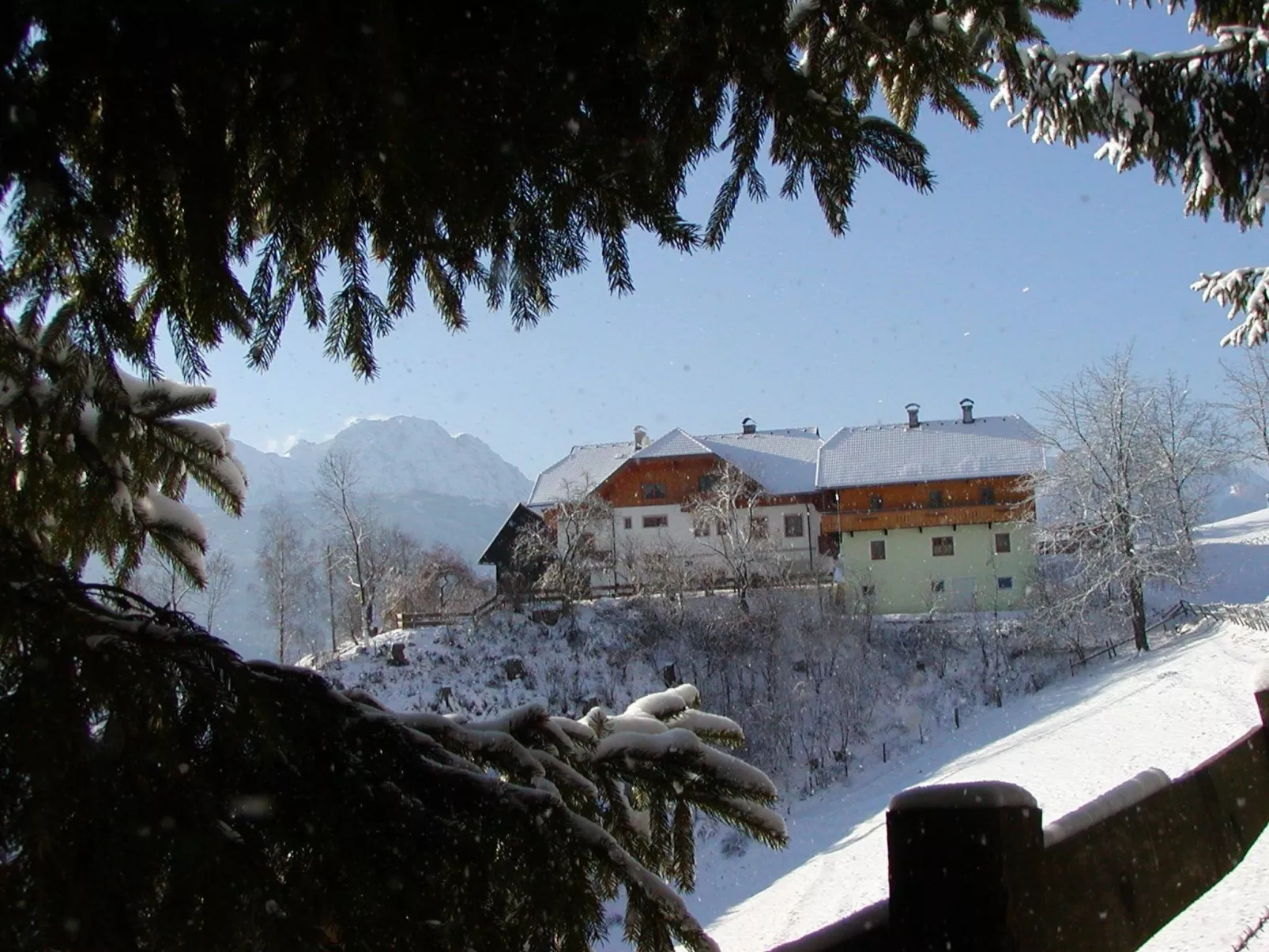 Waldpension in Steinfeld