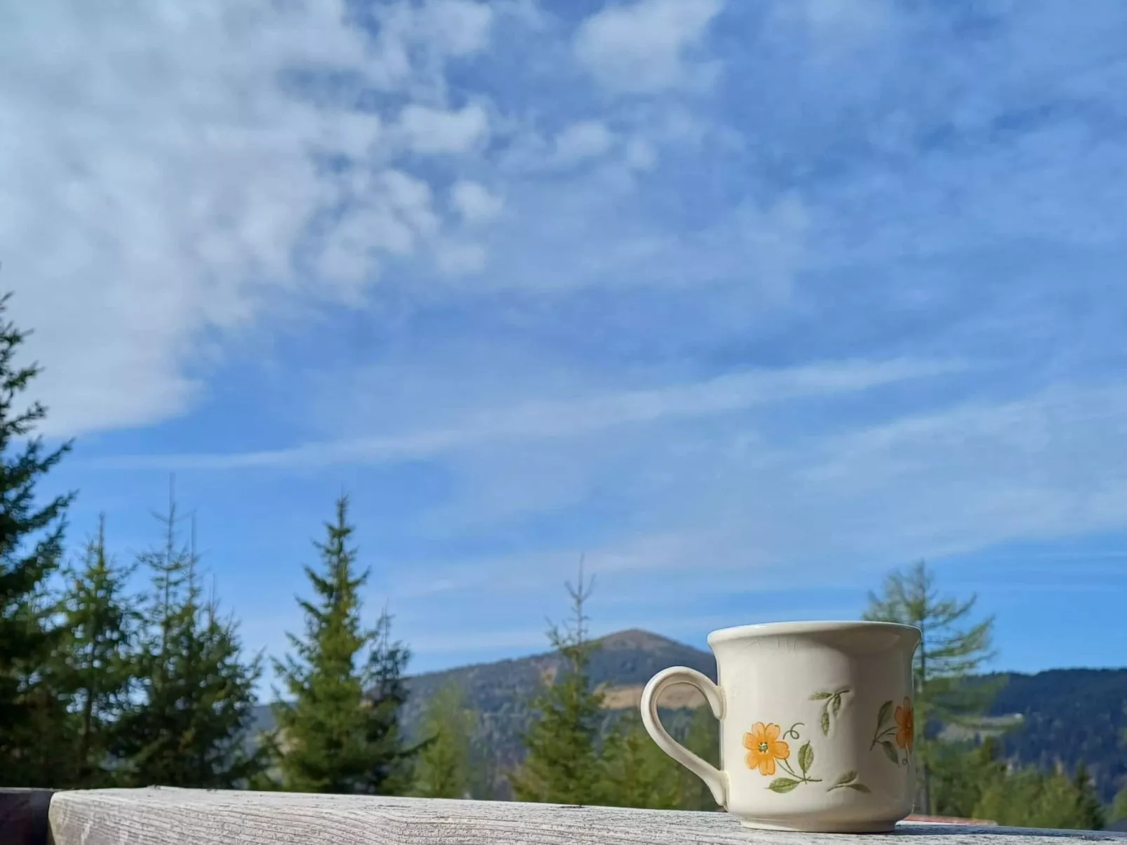 Gemütliche Almhütte direkt im Skigebiet